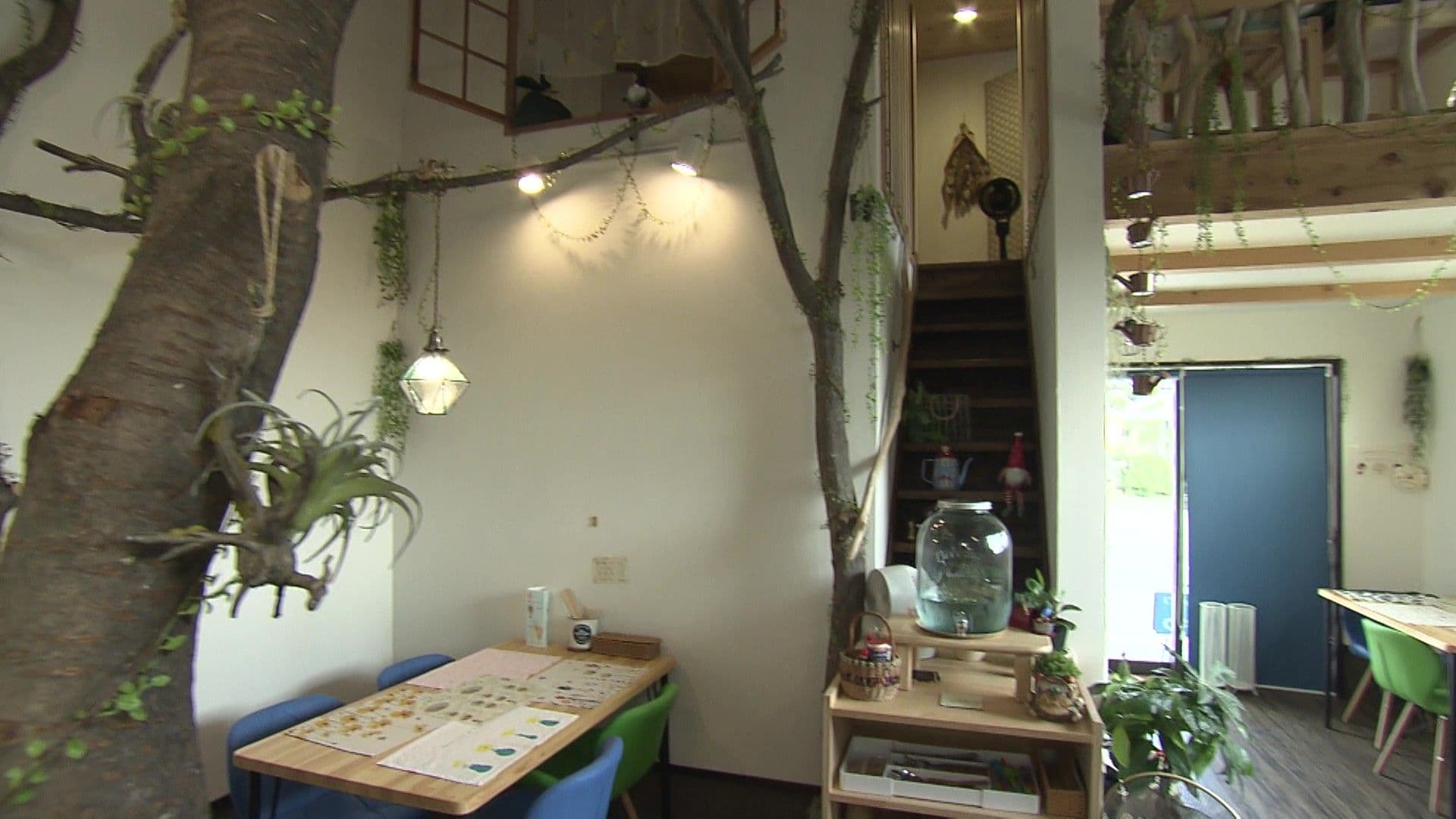 写真2