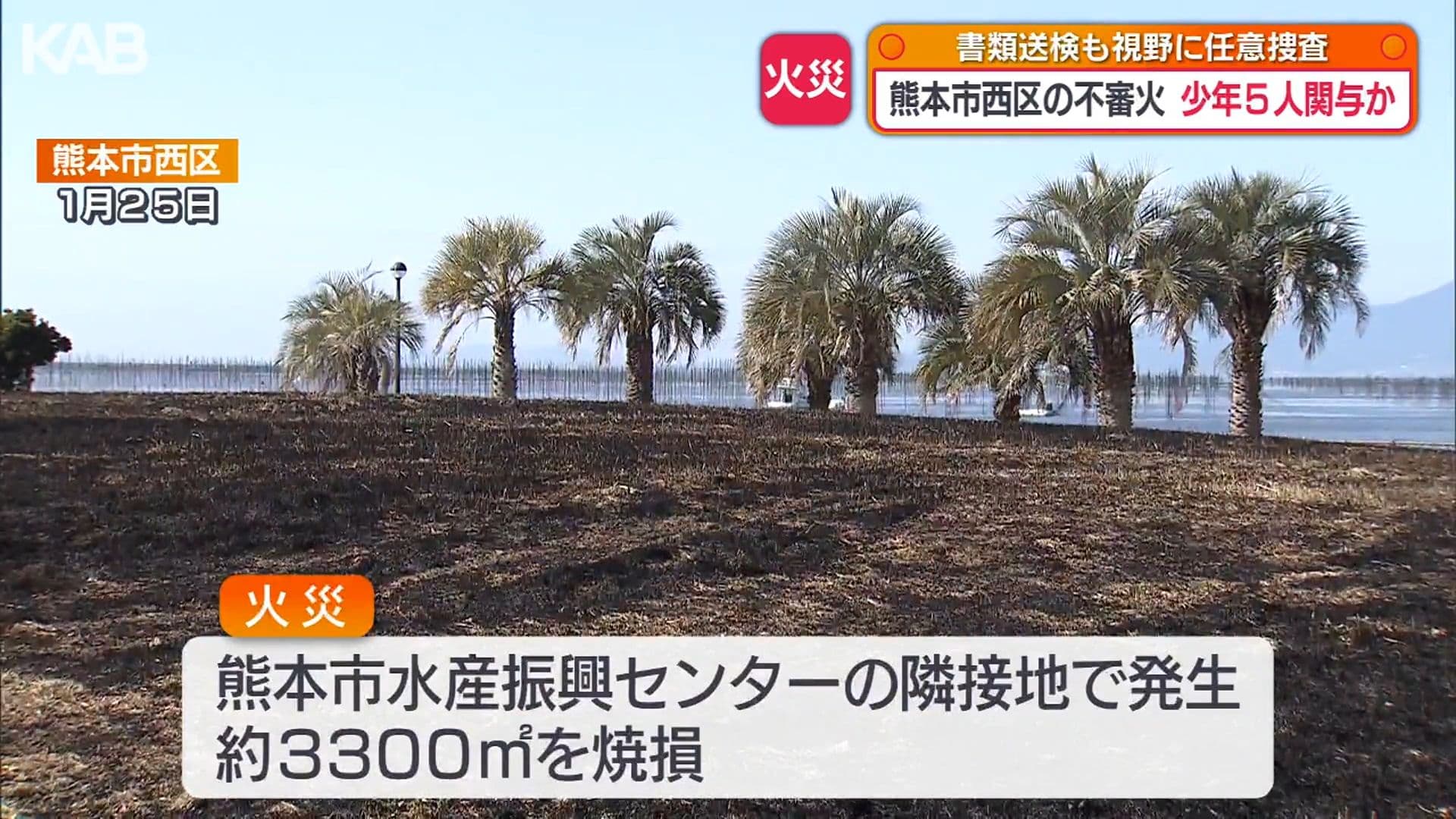 メイン記事画像