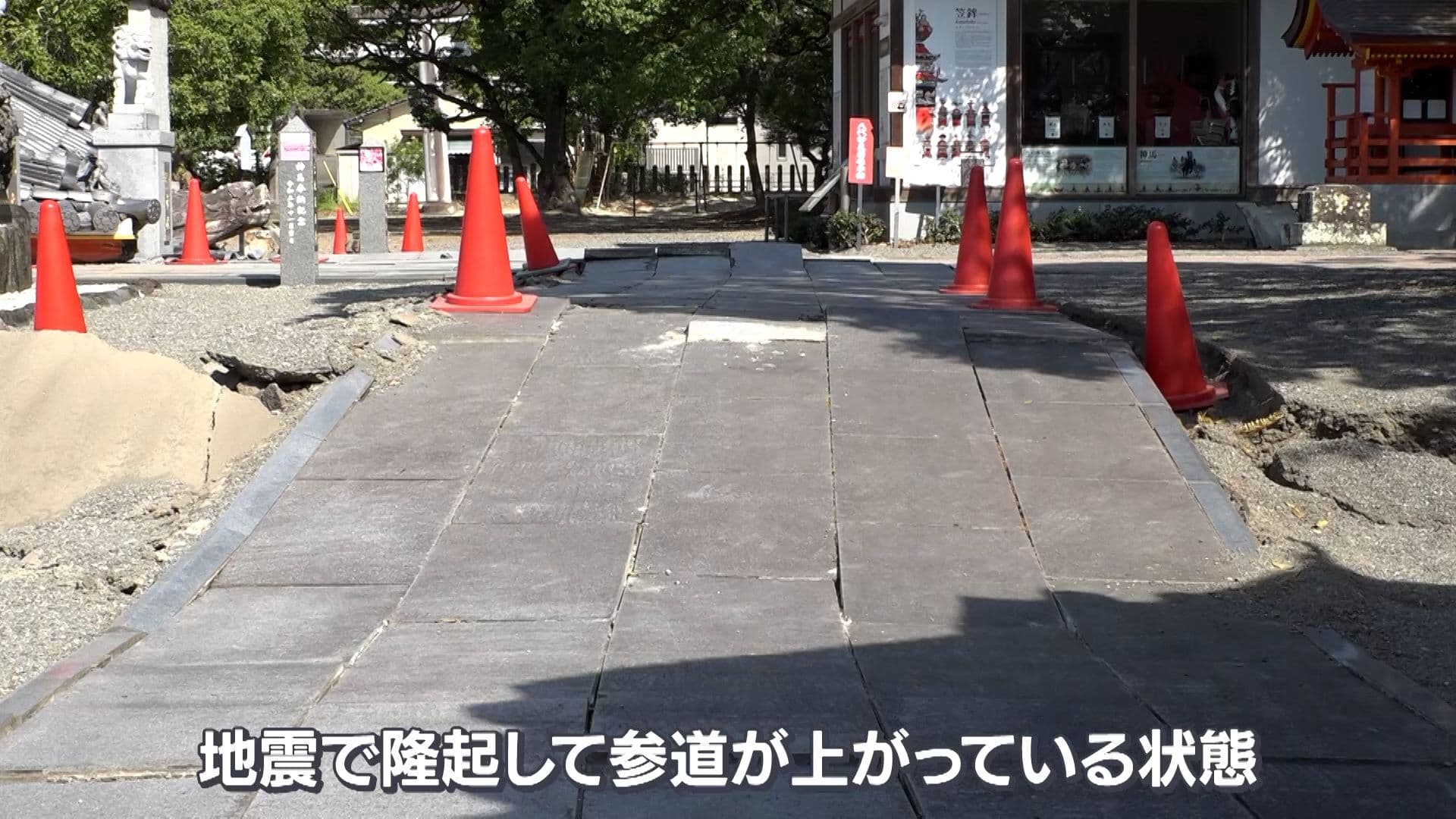 写真4