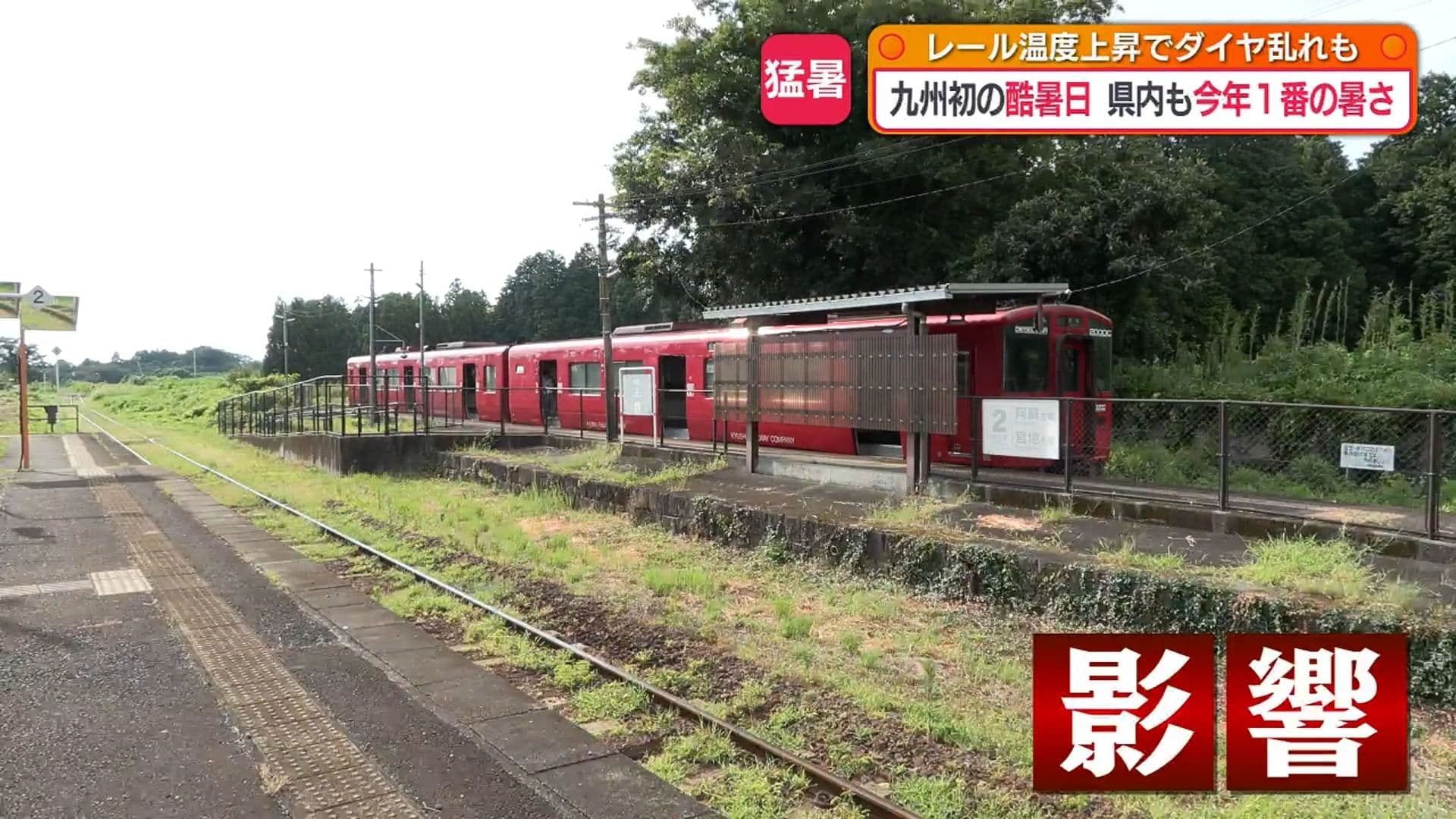 写真7