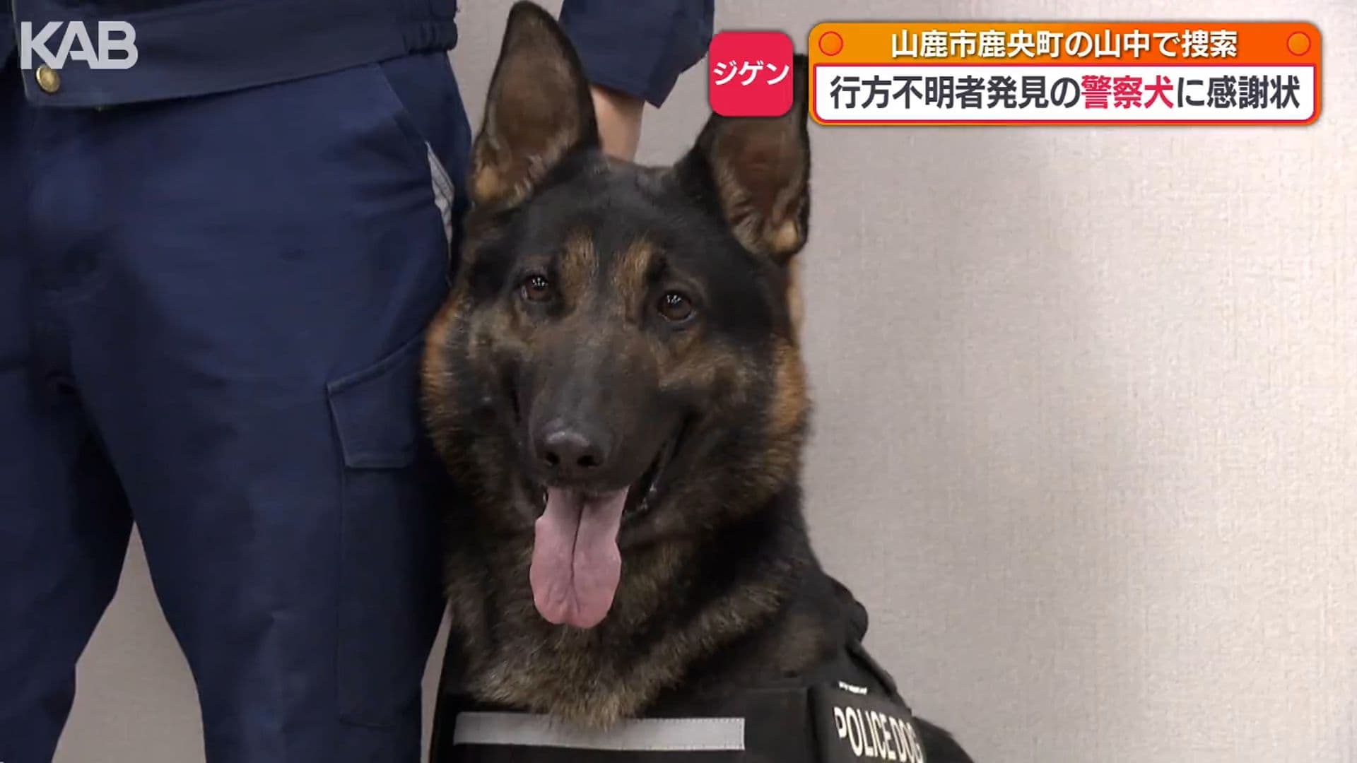 メイン記事画像