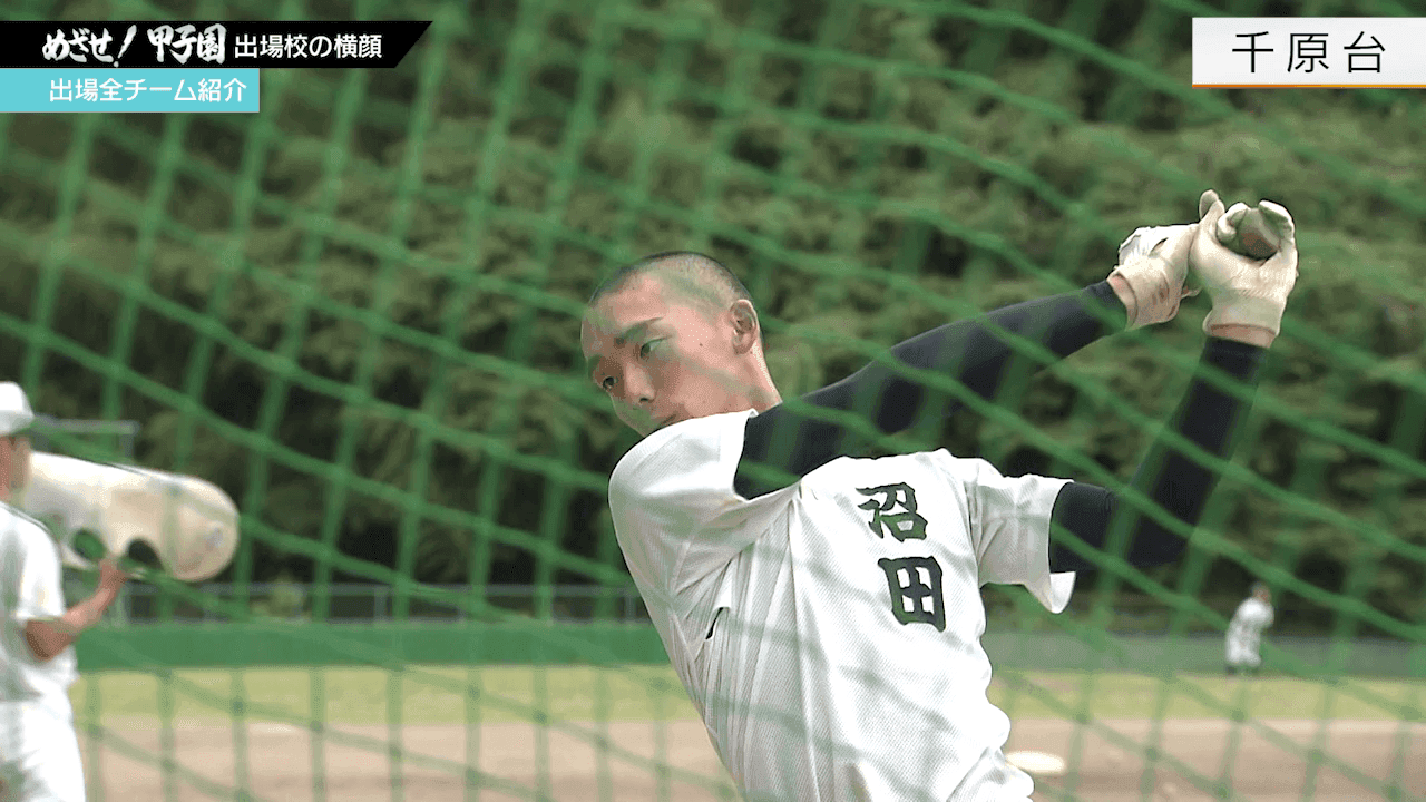 写真8
