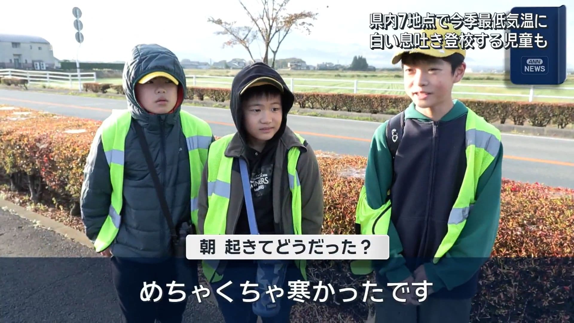 写真3