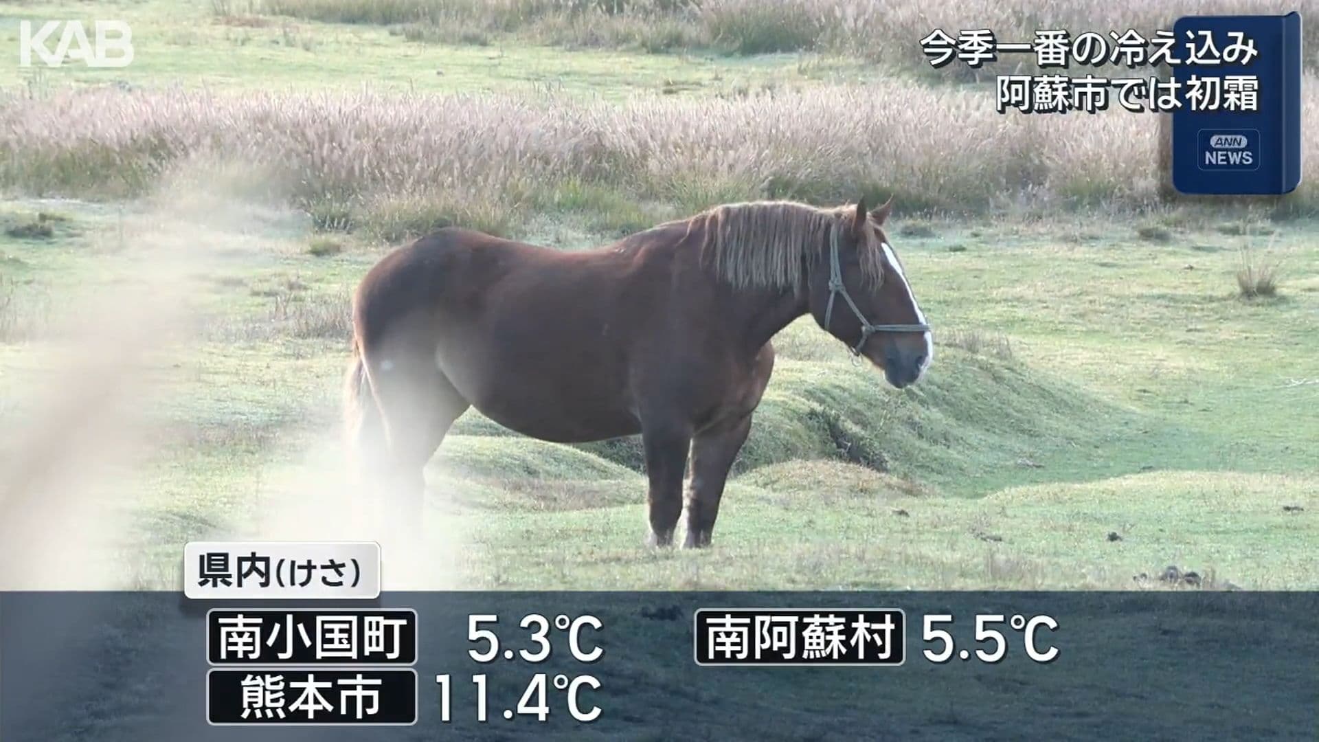 写真5