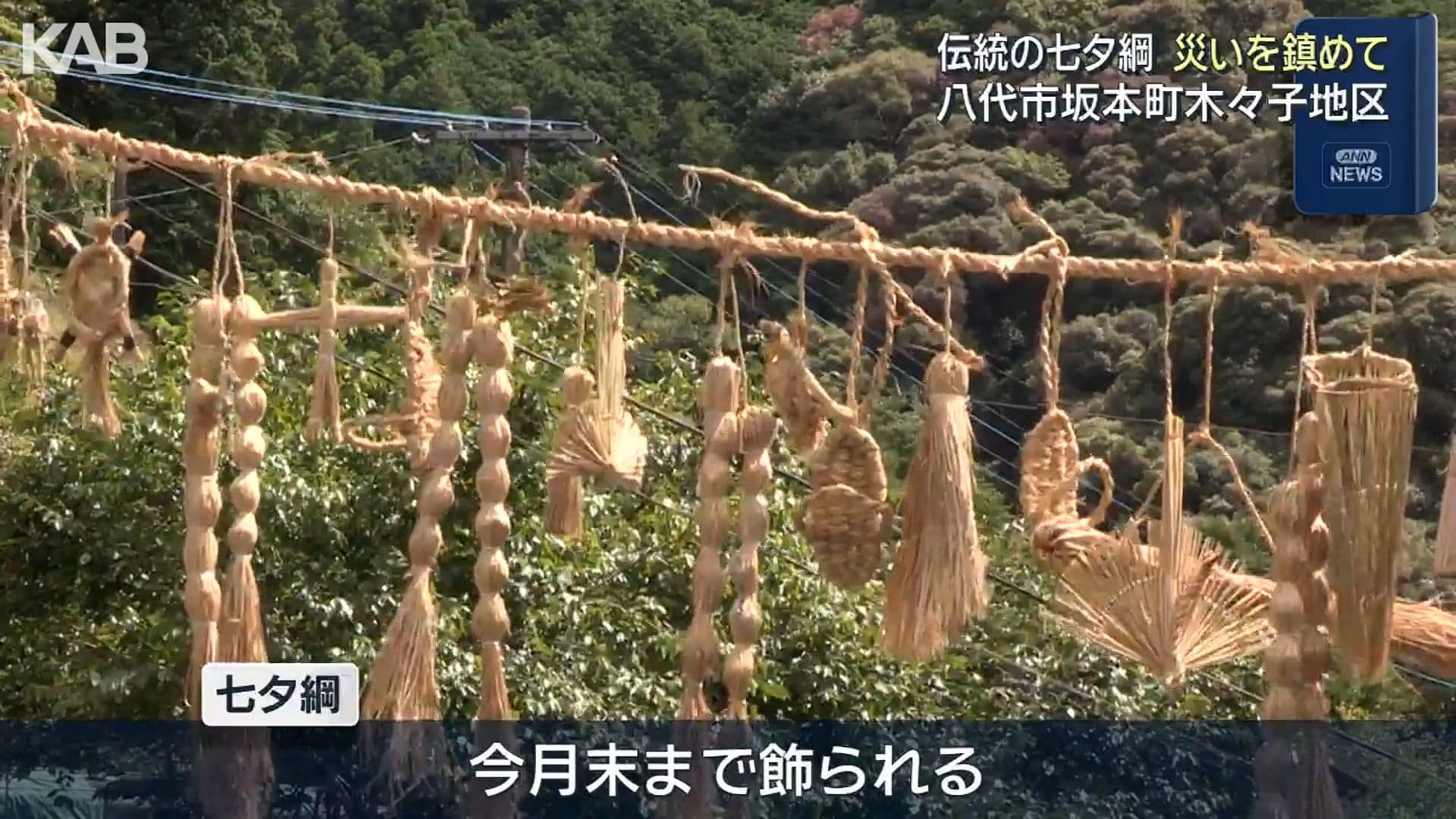 写真3