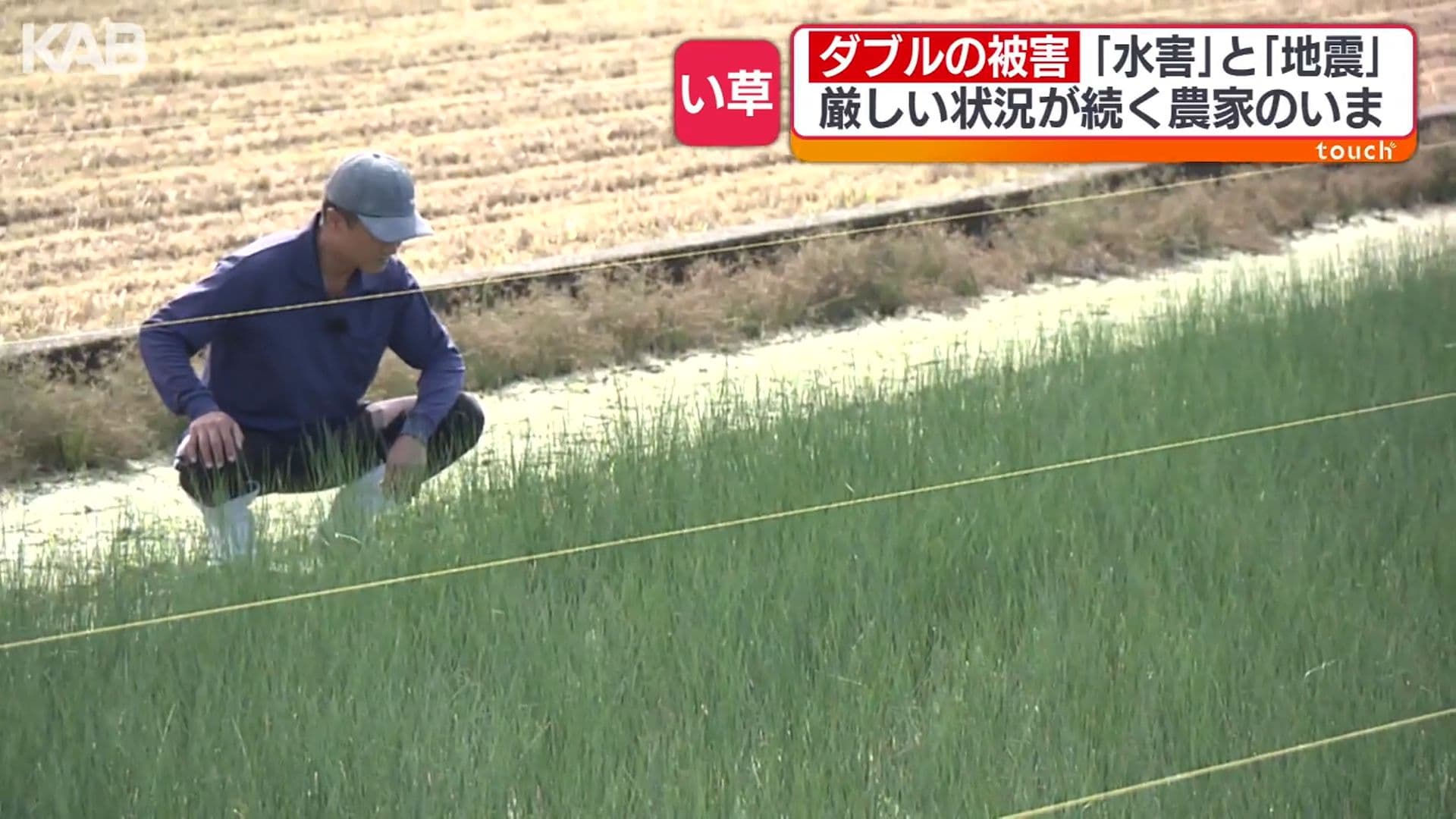 メイン記事画像