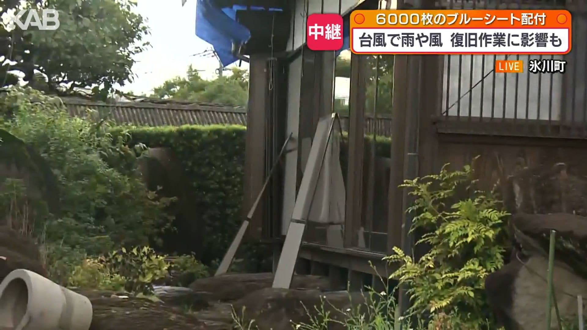 写真13