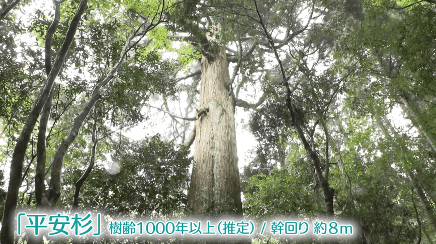 写真15