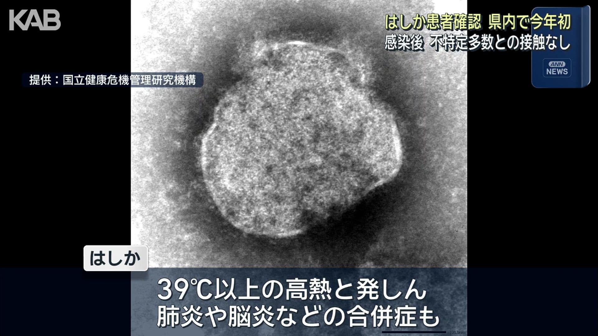 写真6