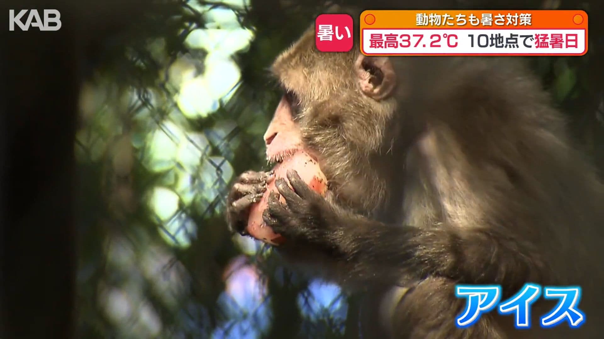 写真4