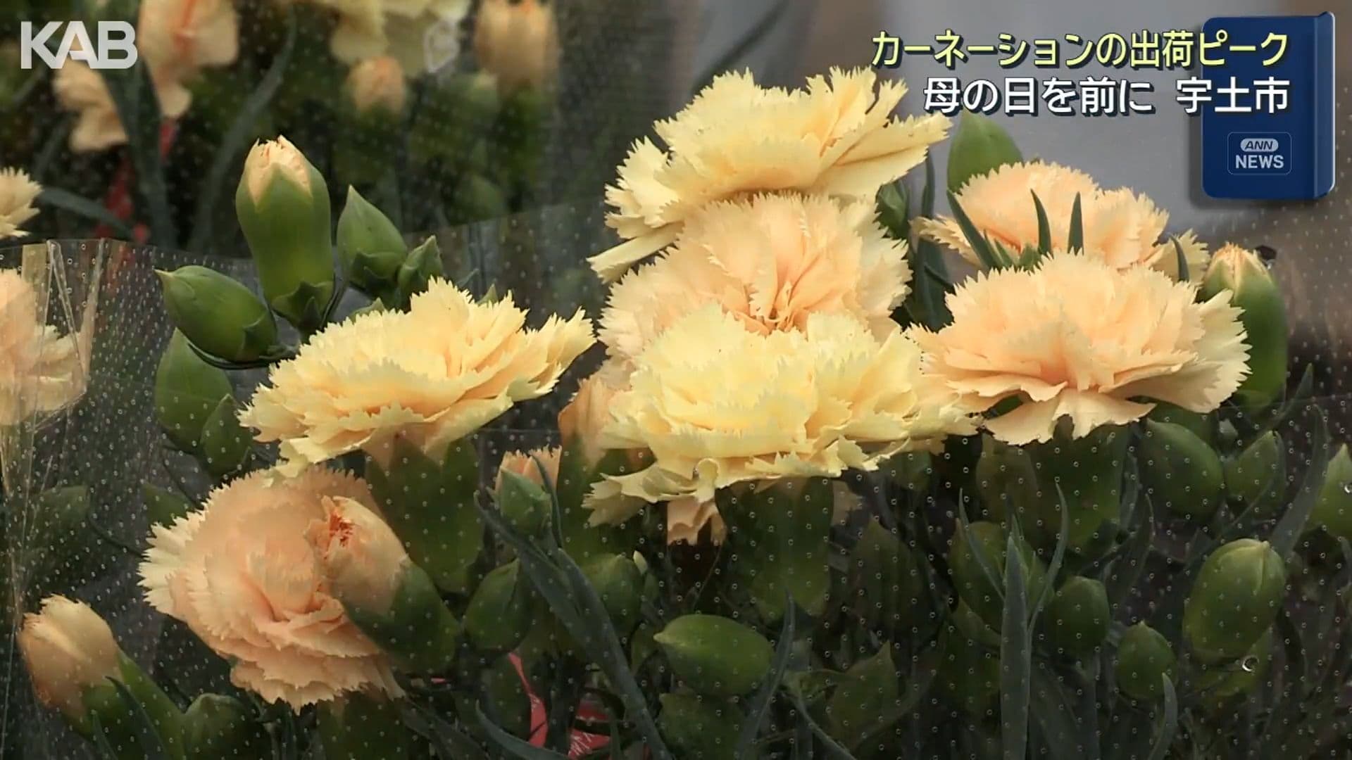 写真4