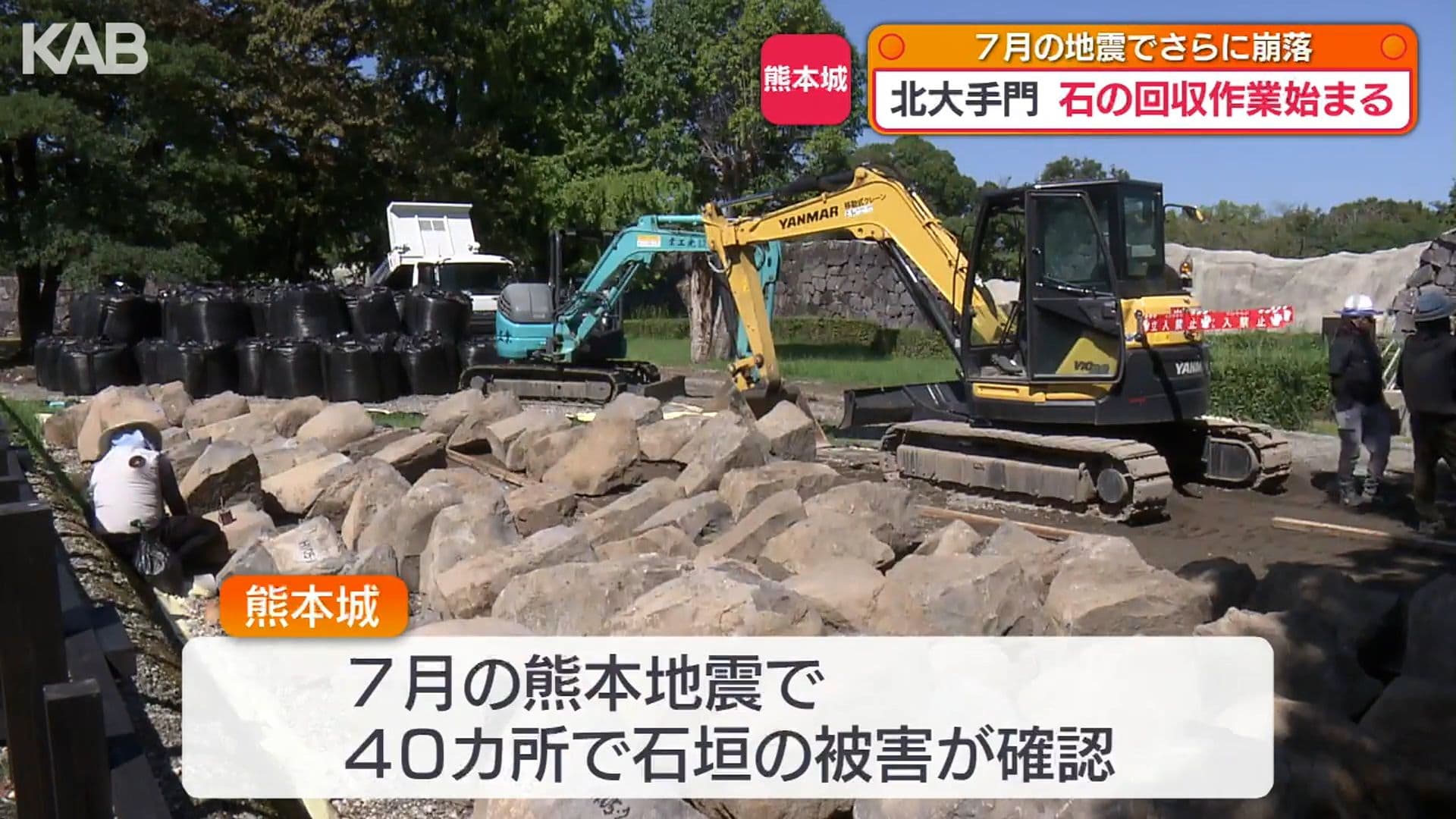 写真8