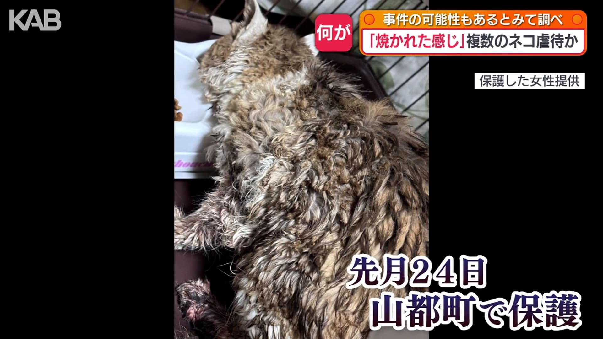 メイン記事画像