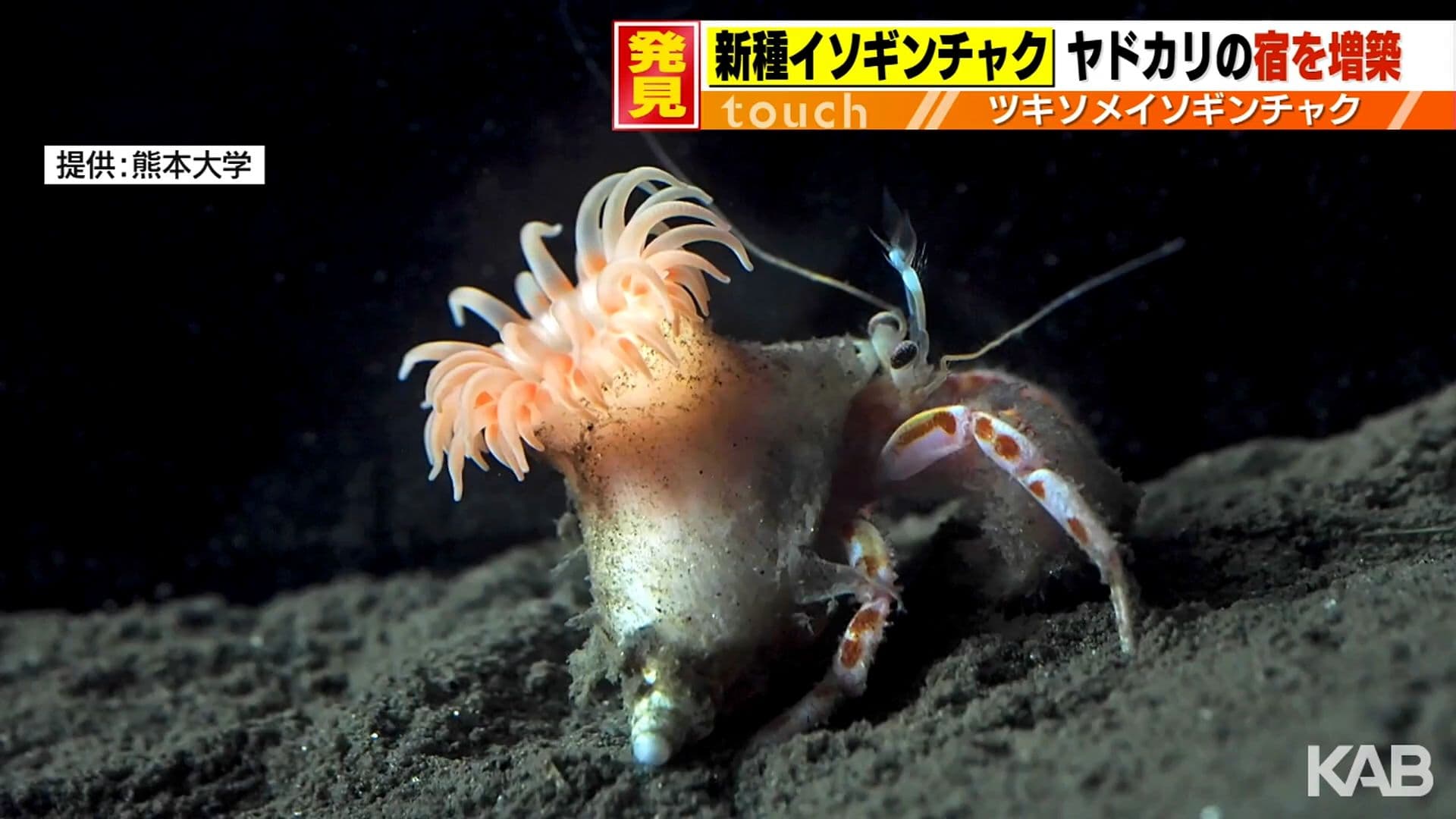 メイン記事画像