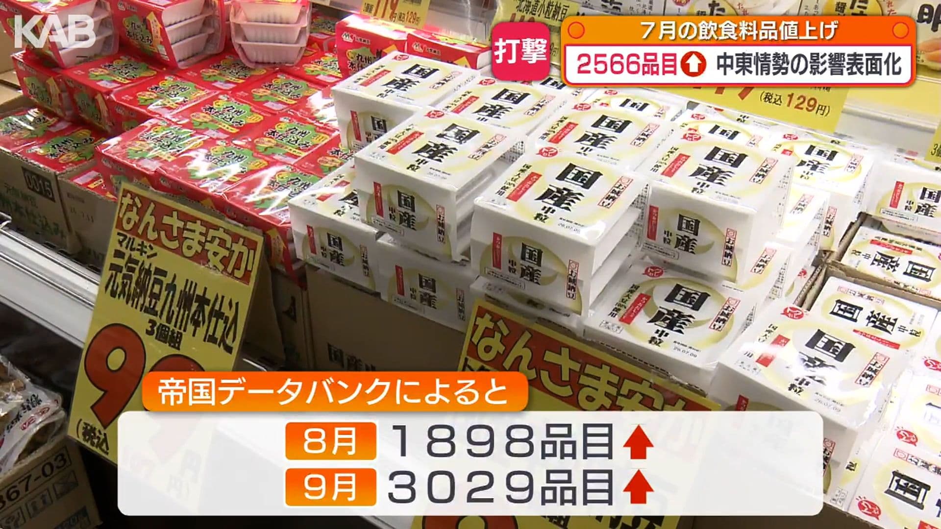 写真9