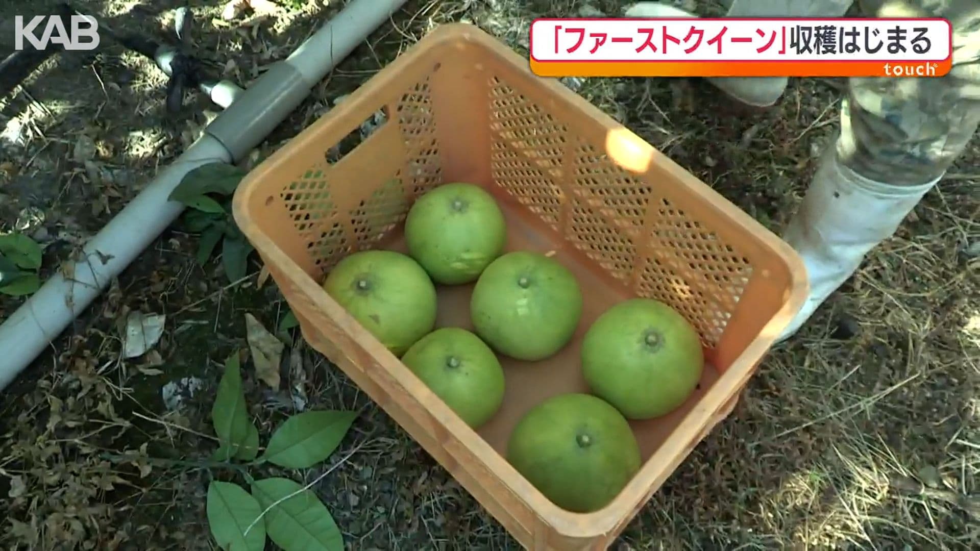 写真4
