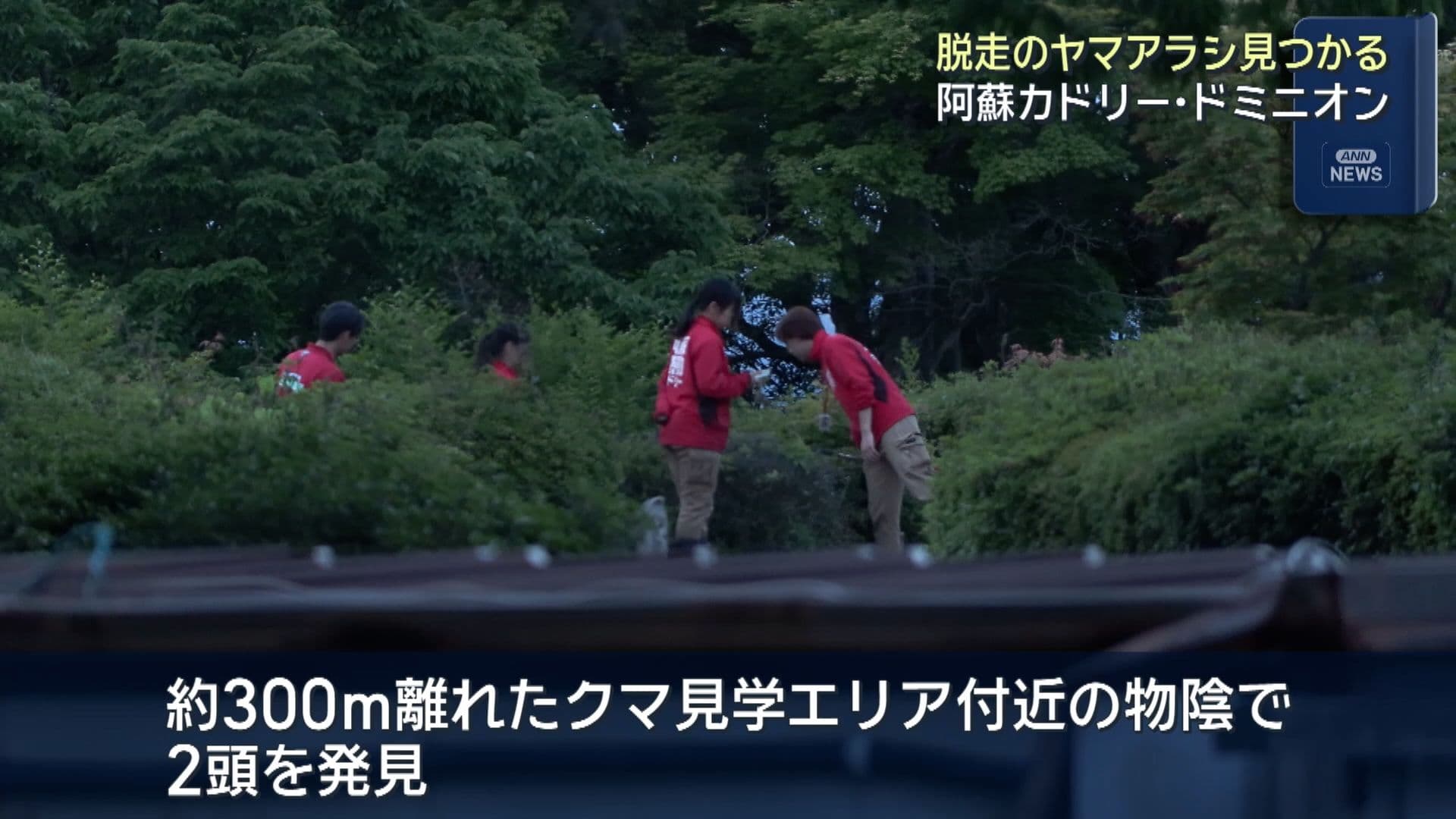 写真3
