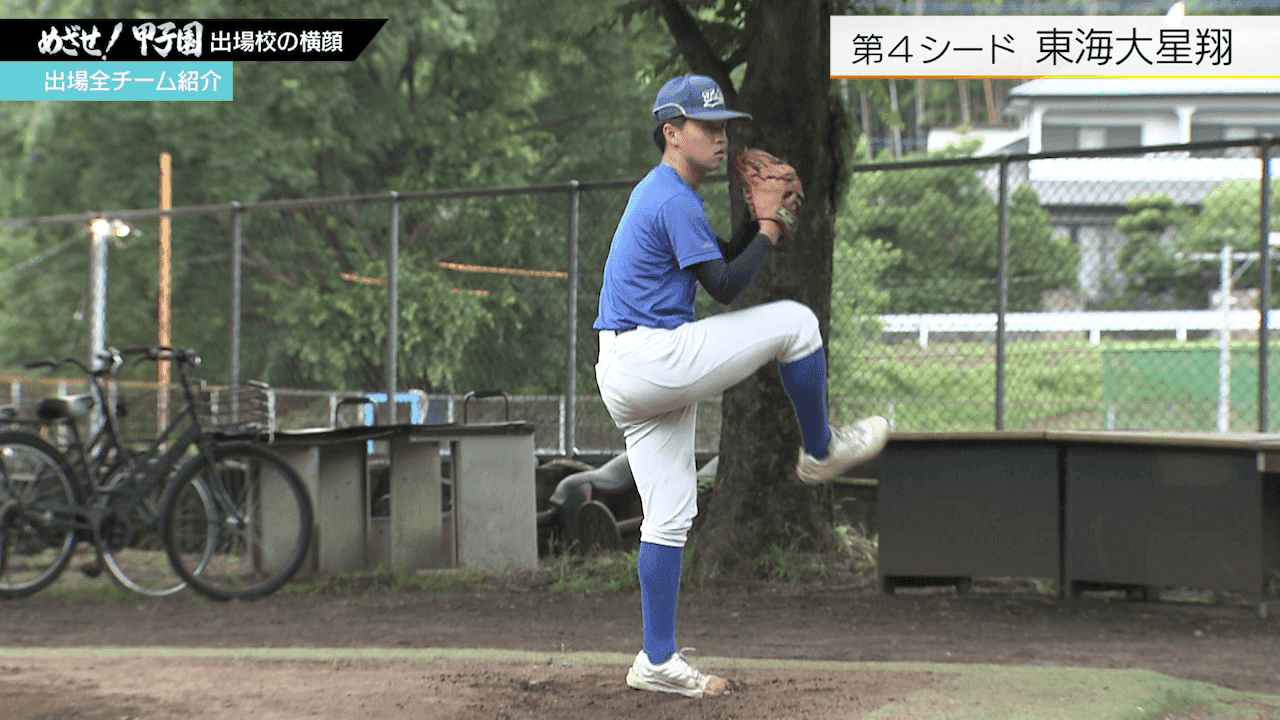 写真10