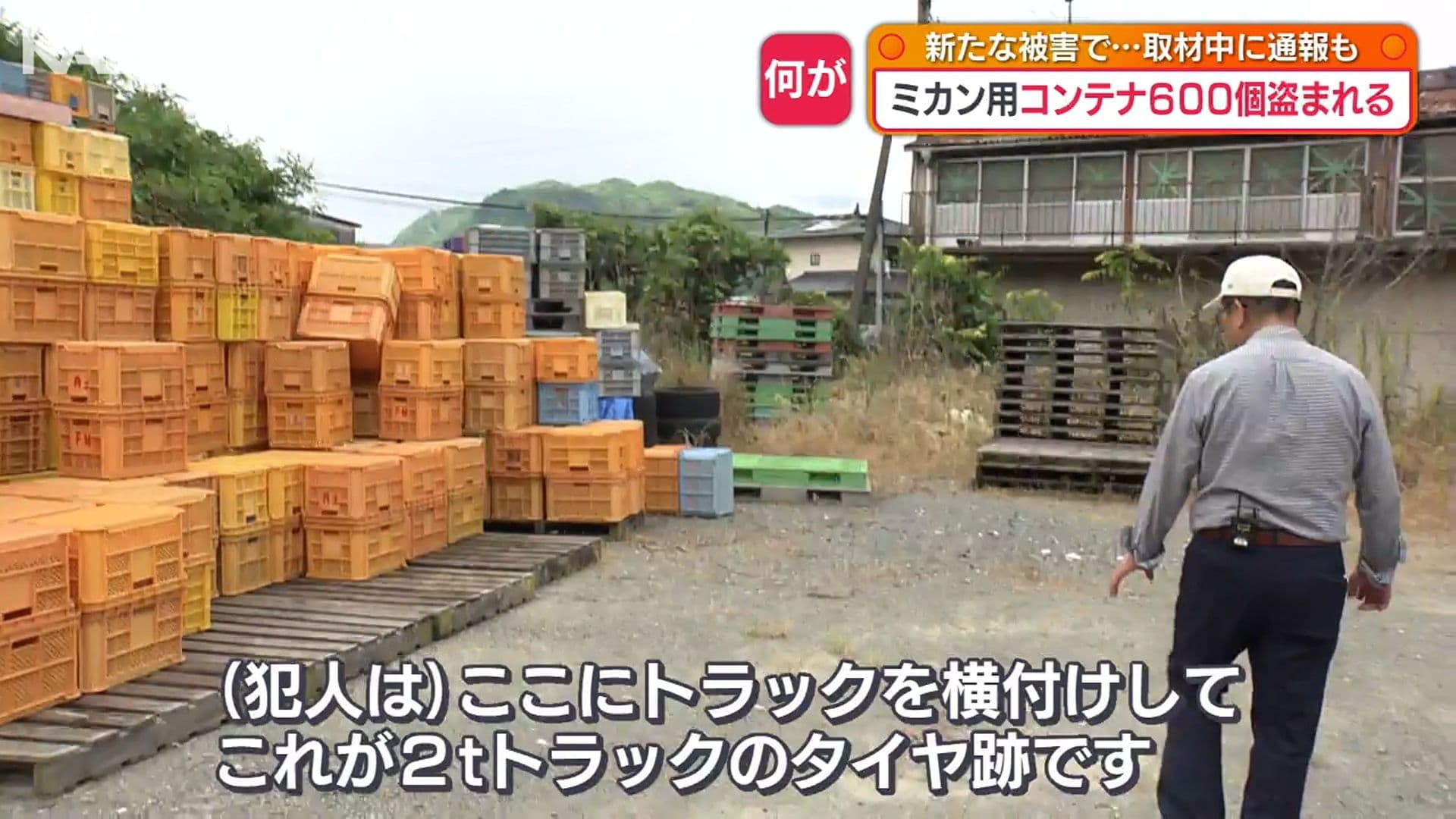 写真10