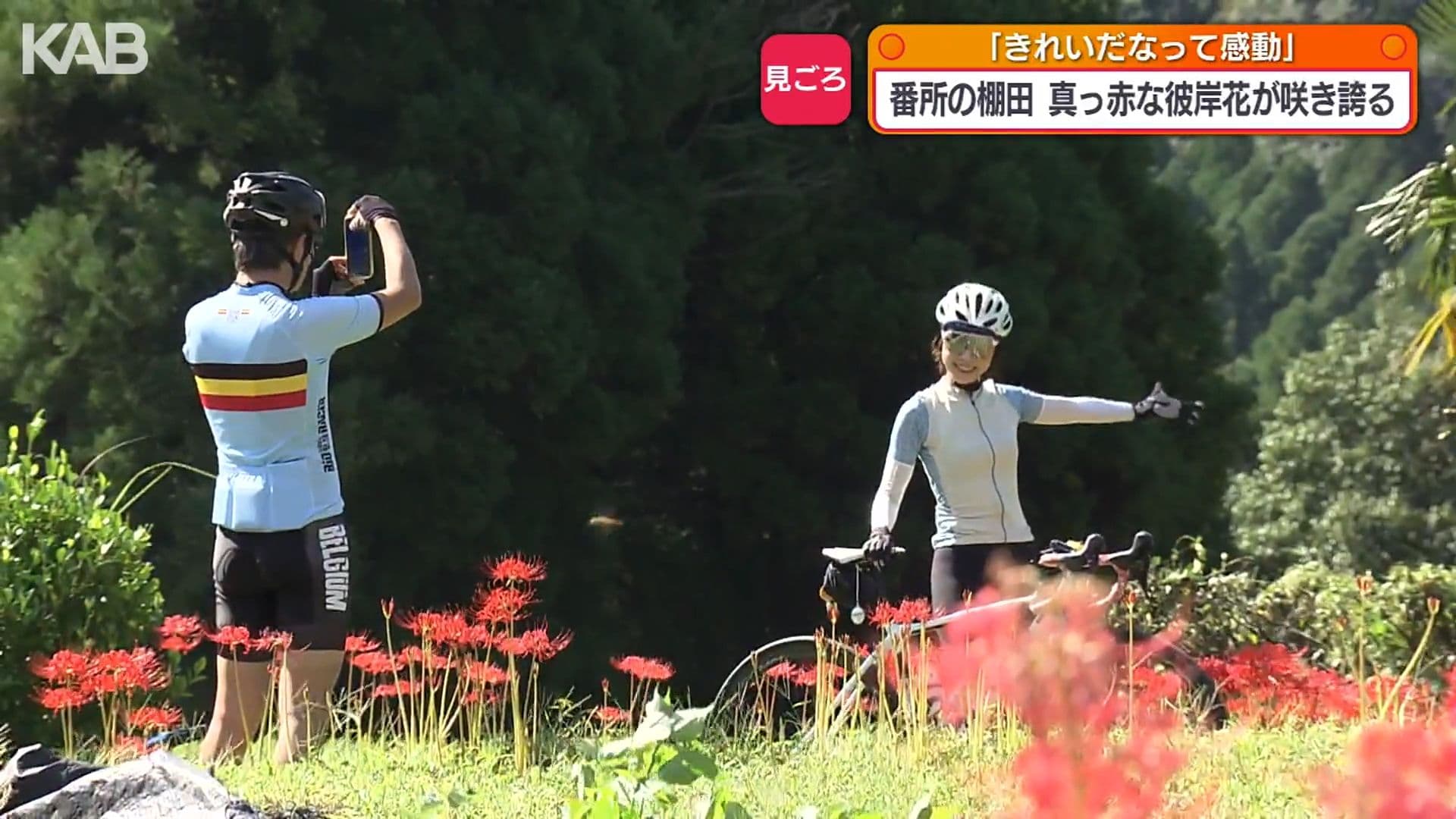 写真6