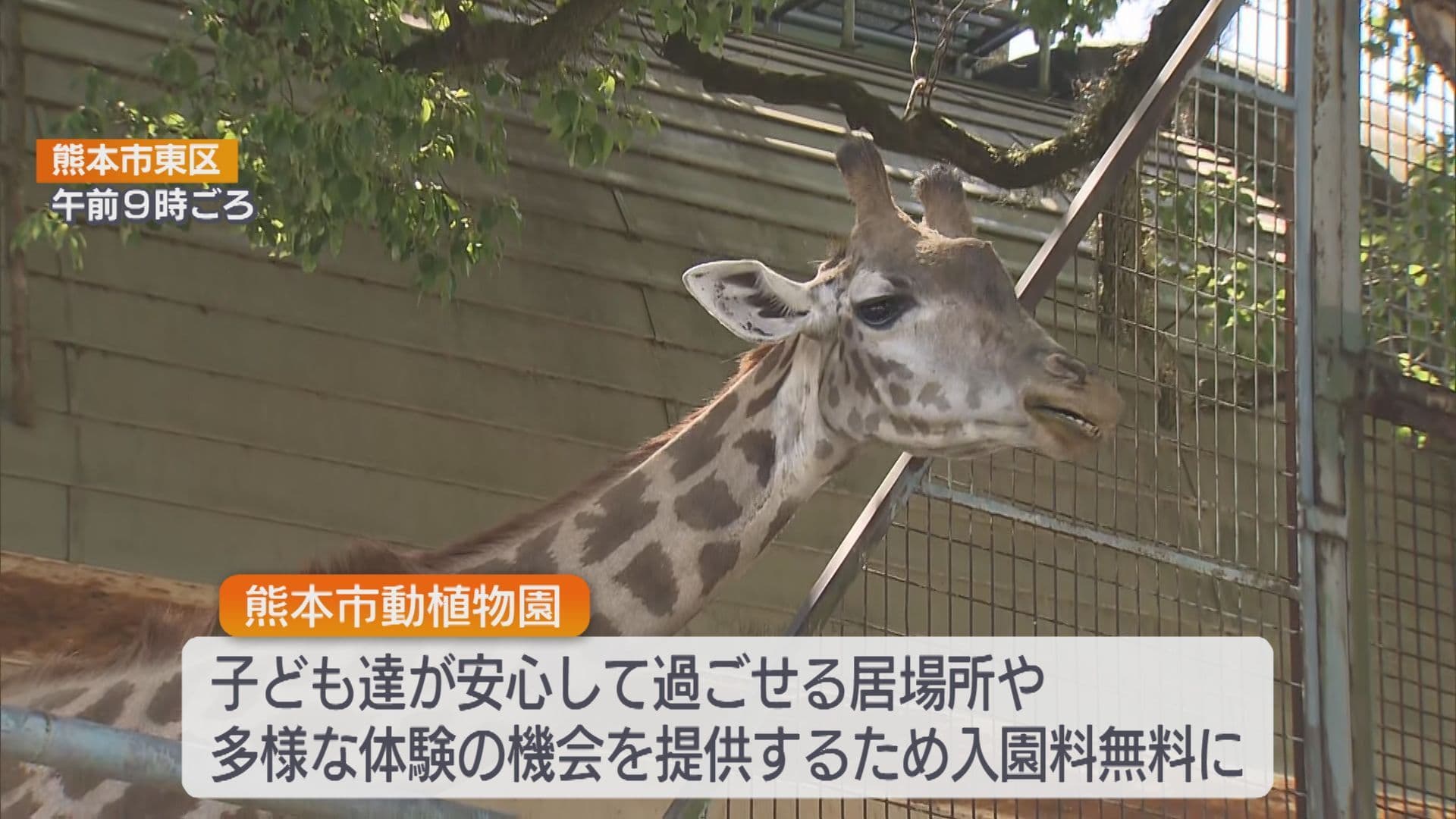 写真2