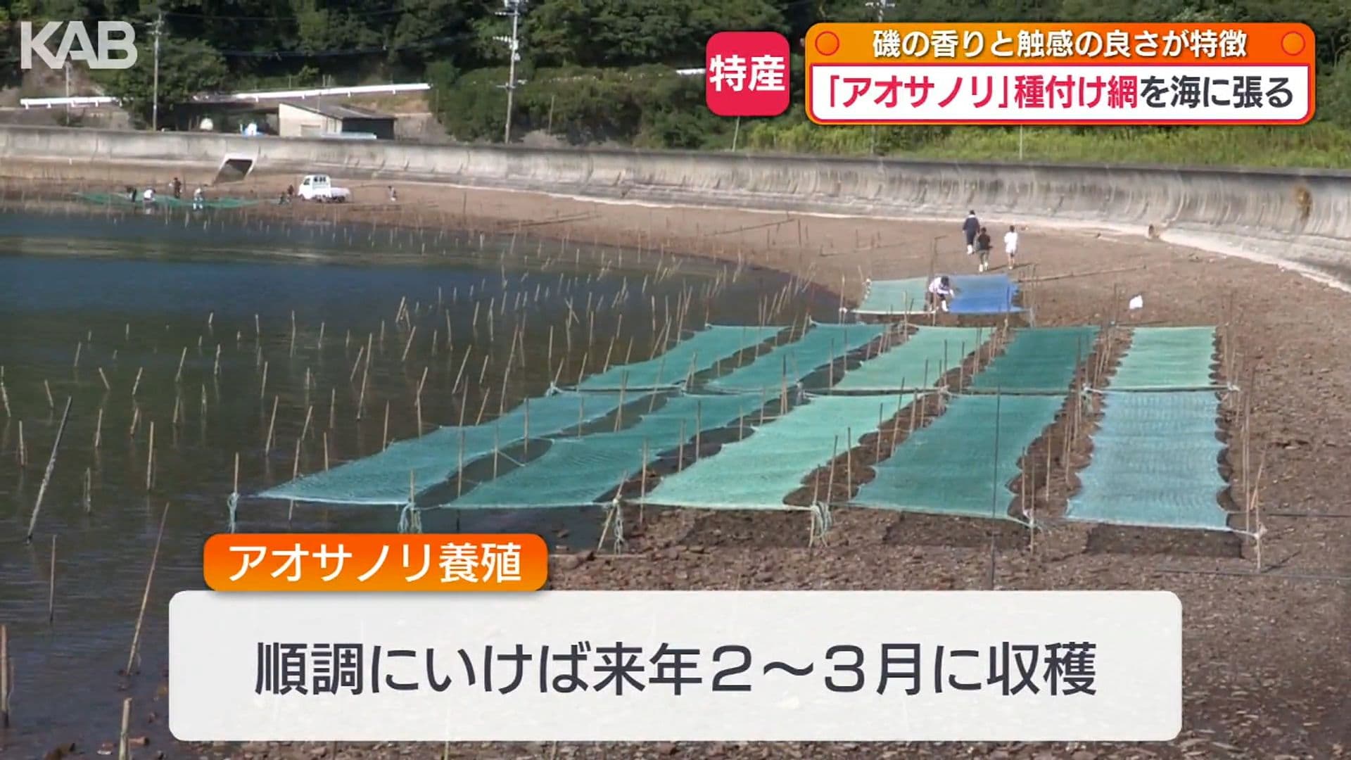 写真4