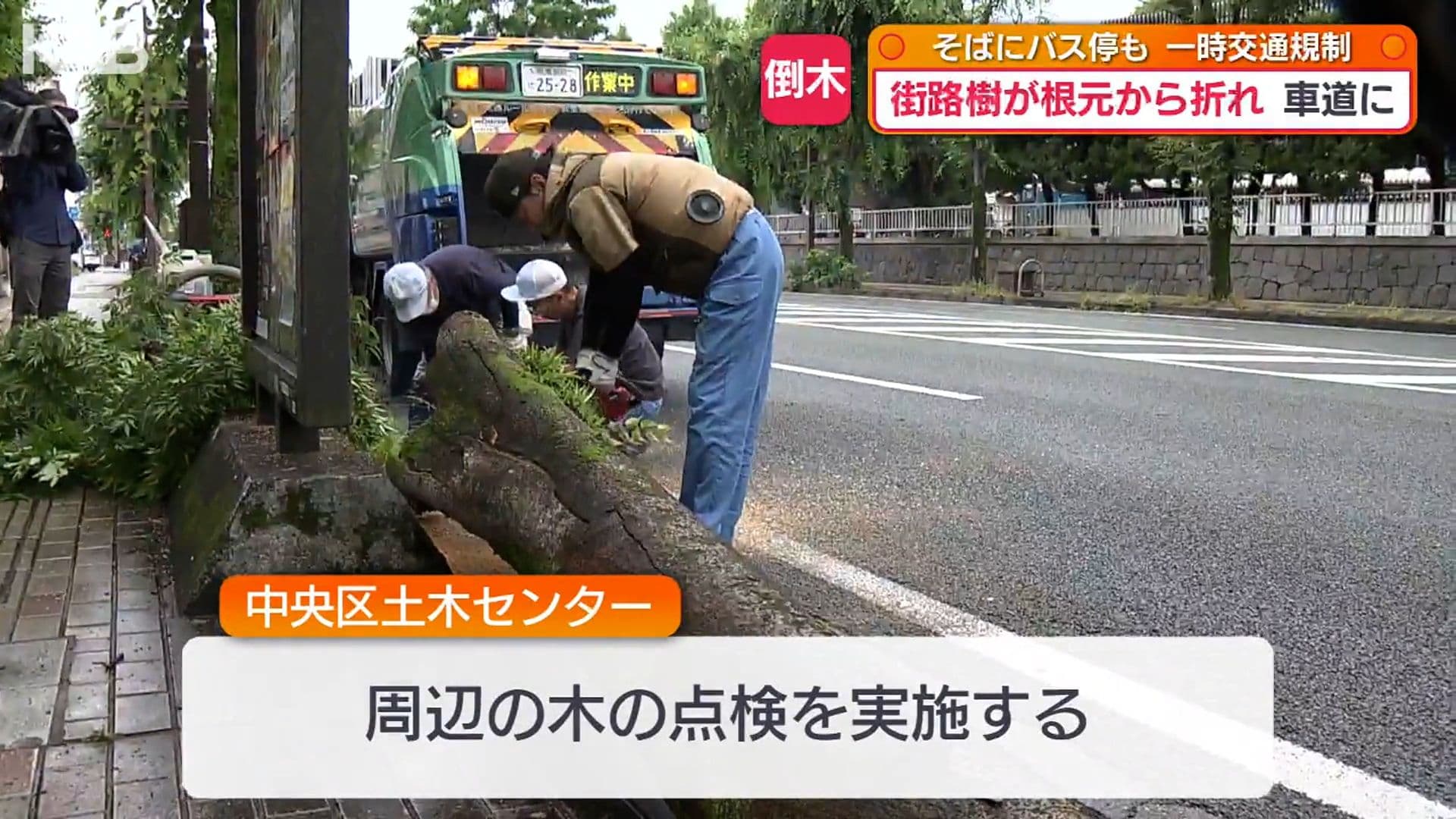 写真8