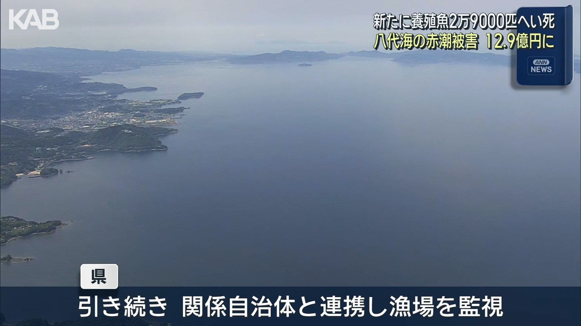 写真3