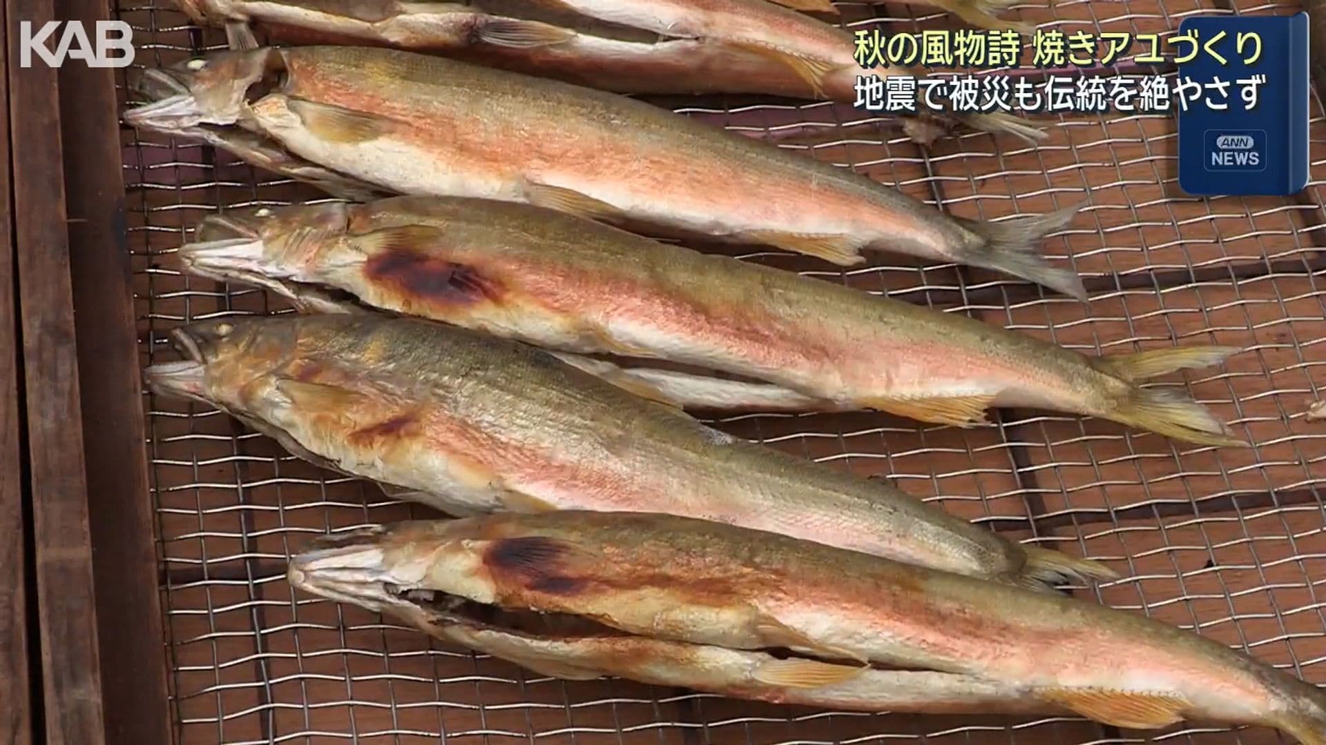 写真5