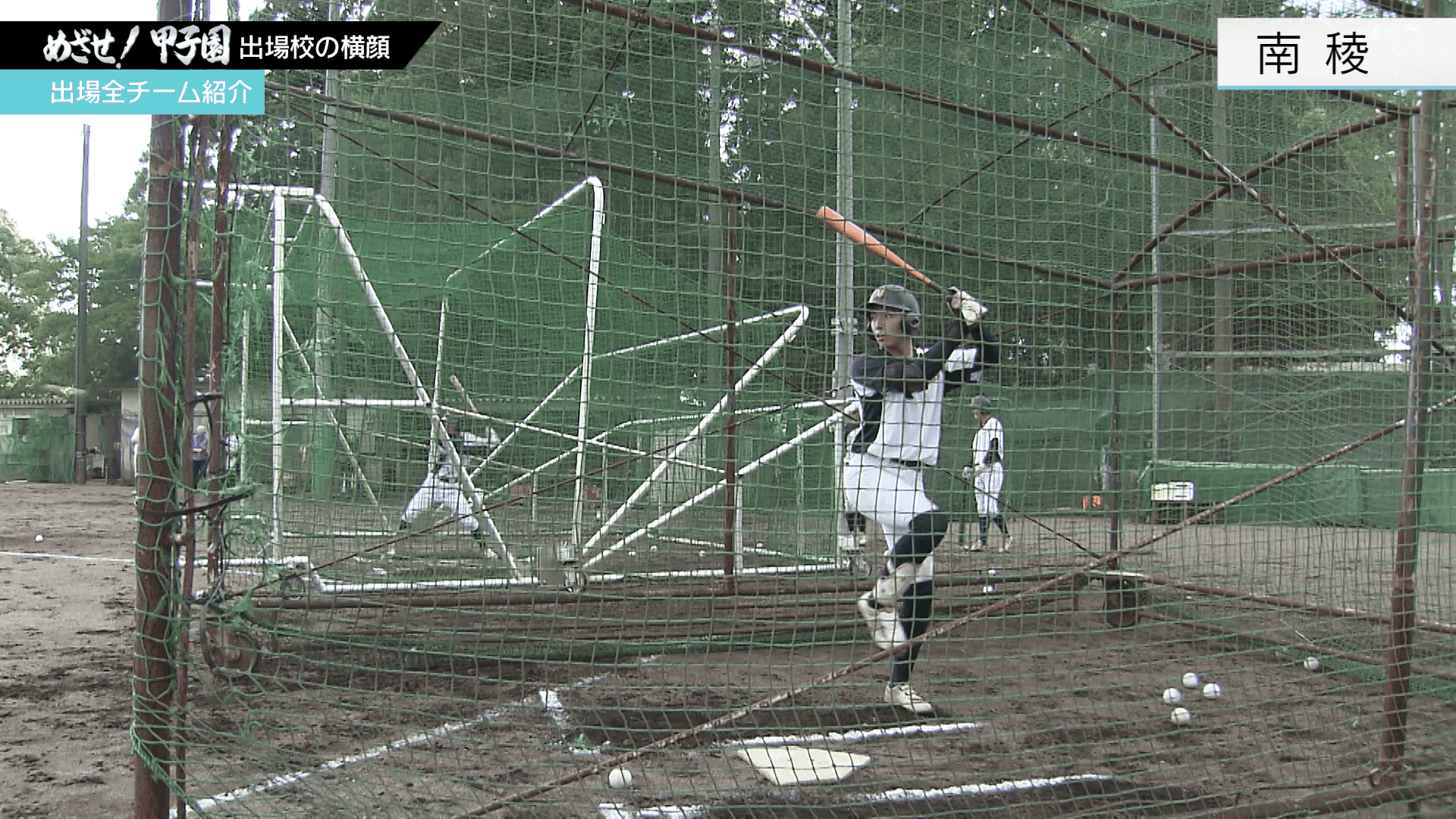 写真5