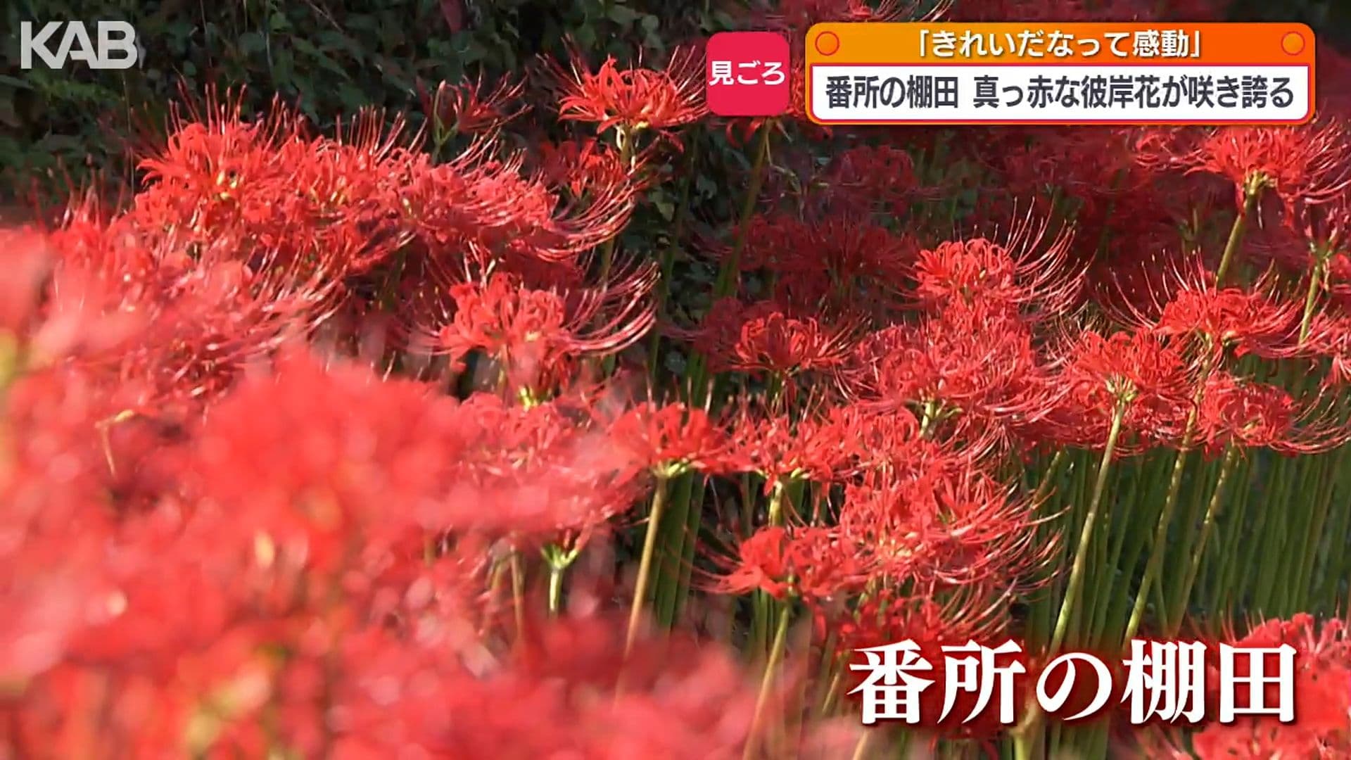 写真3