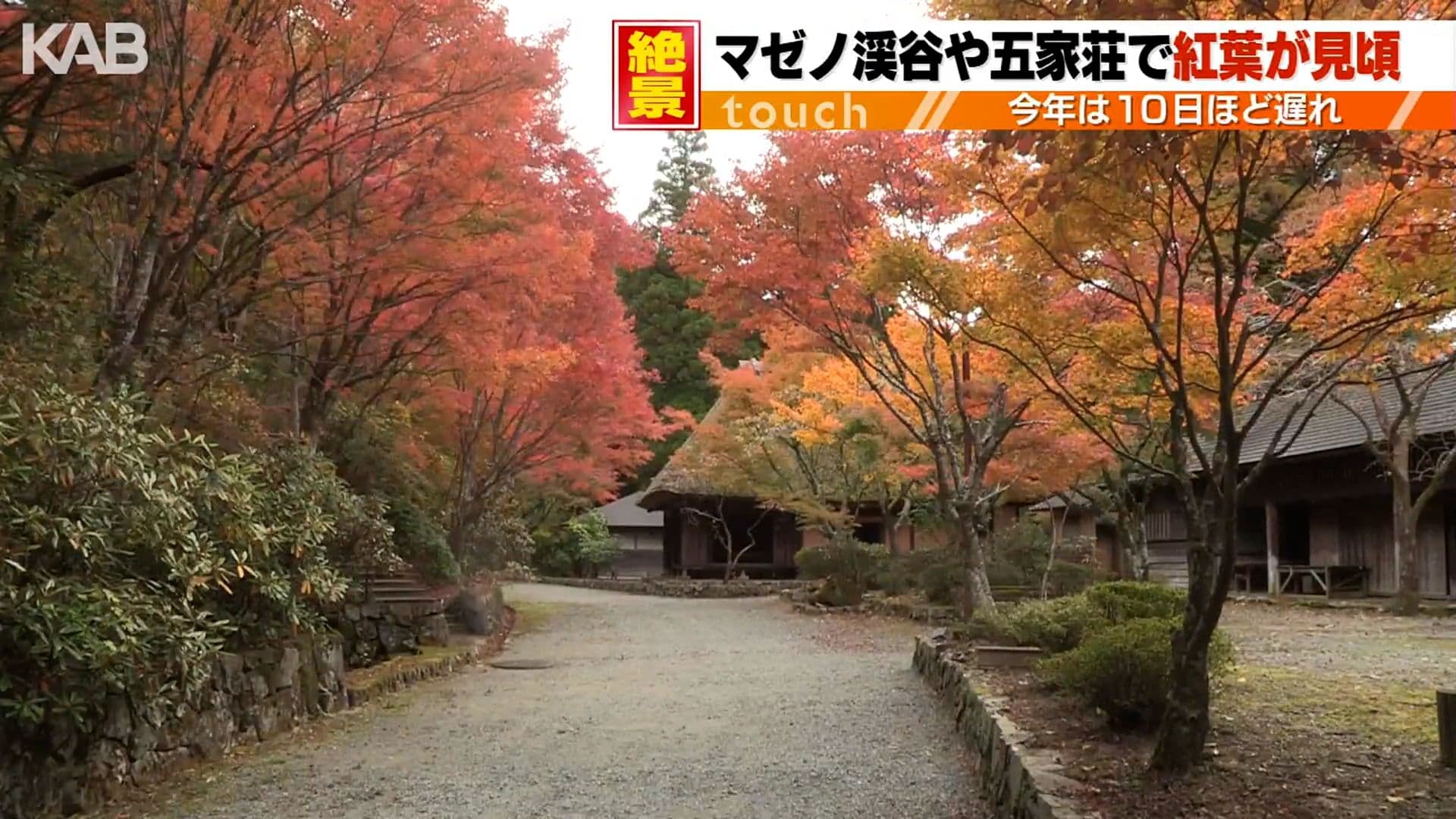 メイン記事画像