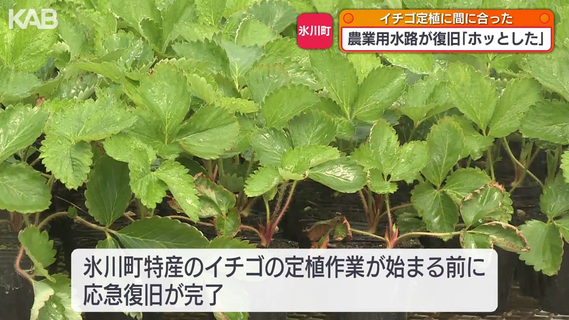 写真3