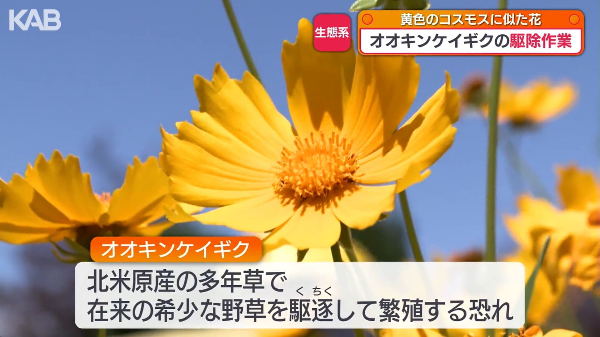 写真2