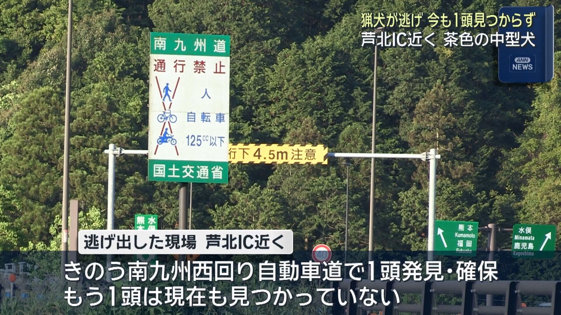 写真4