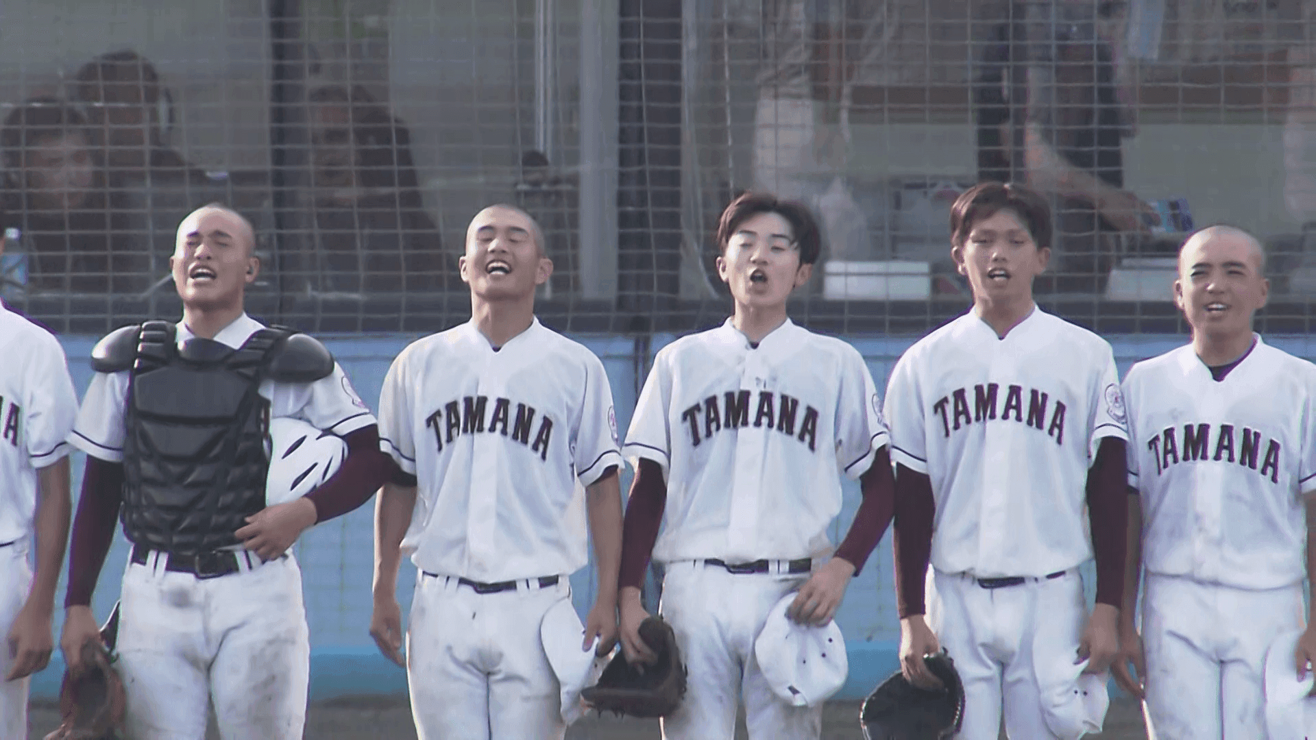 写真5