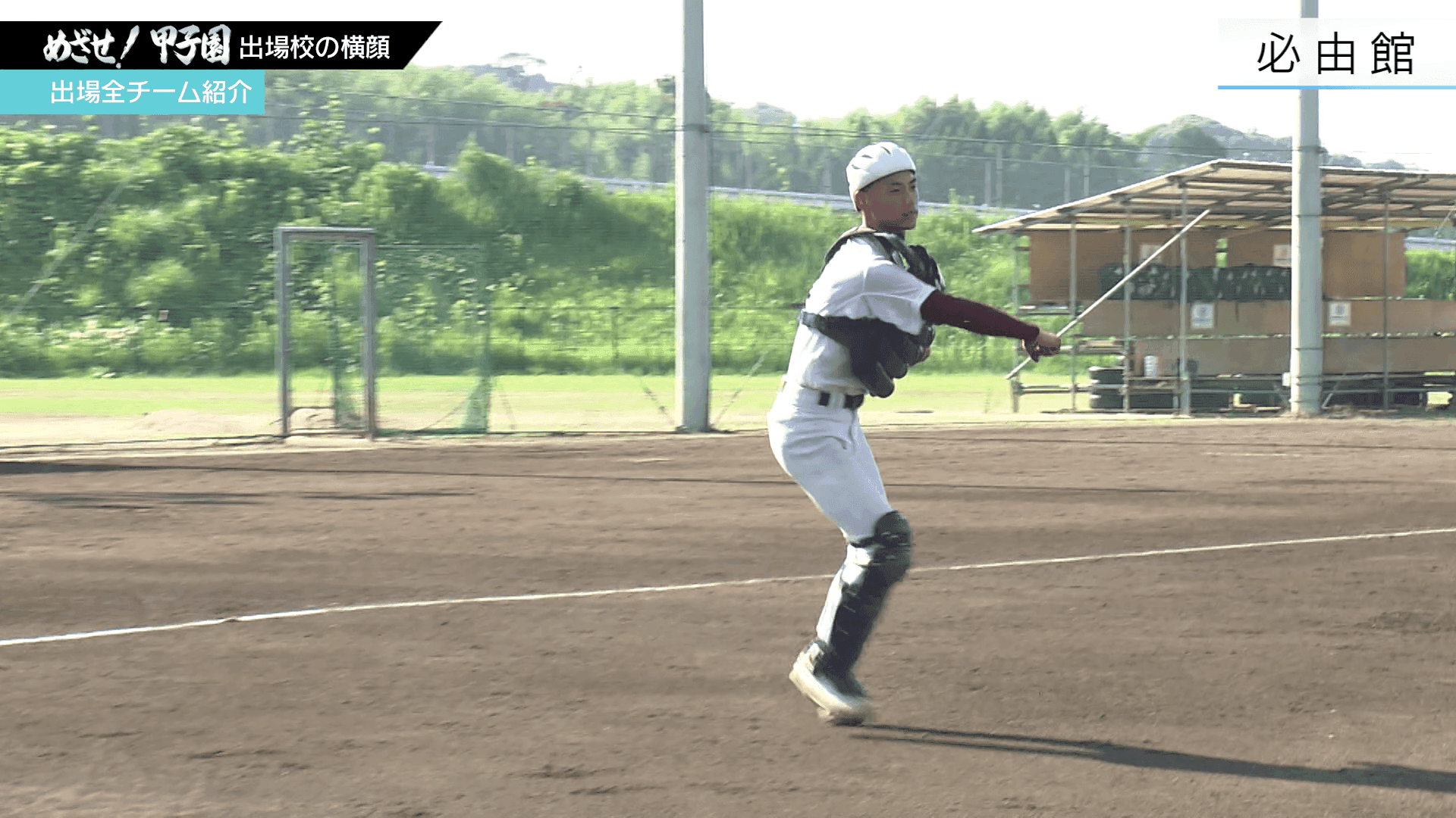 写真4