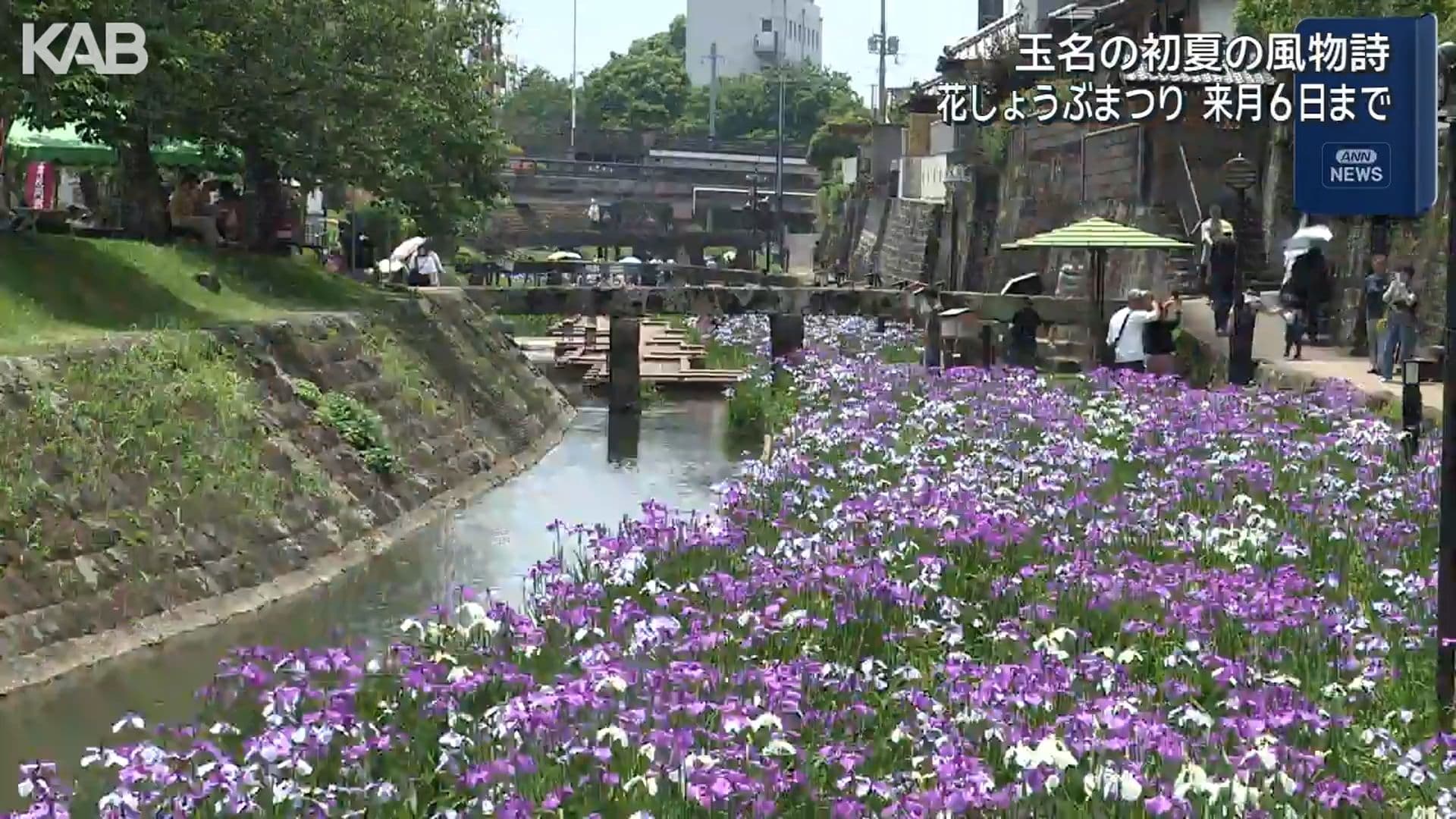写真5