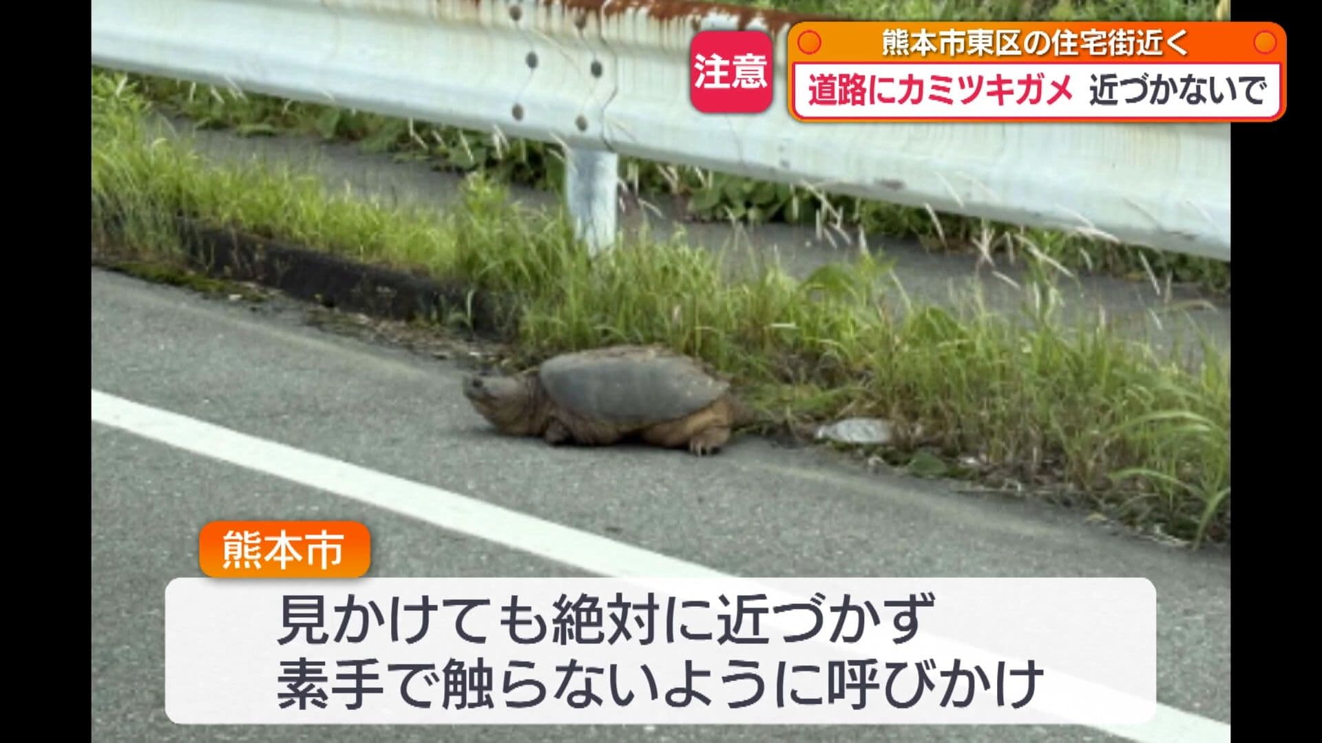 写真6