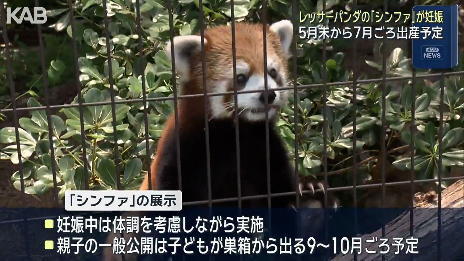 写真2