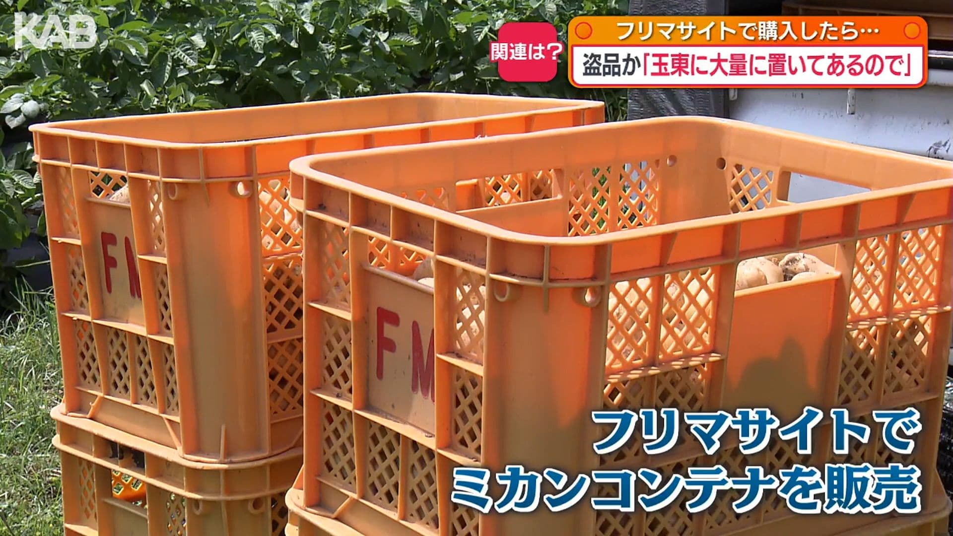 メイン記事画像