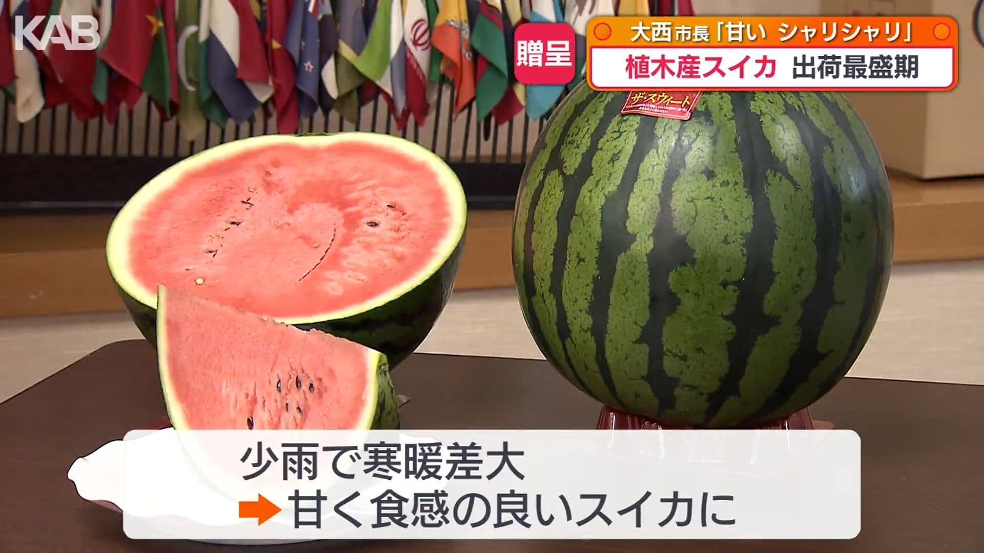 メイン記事画像