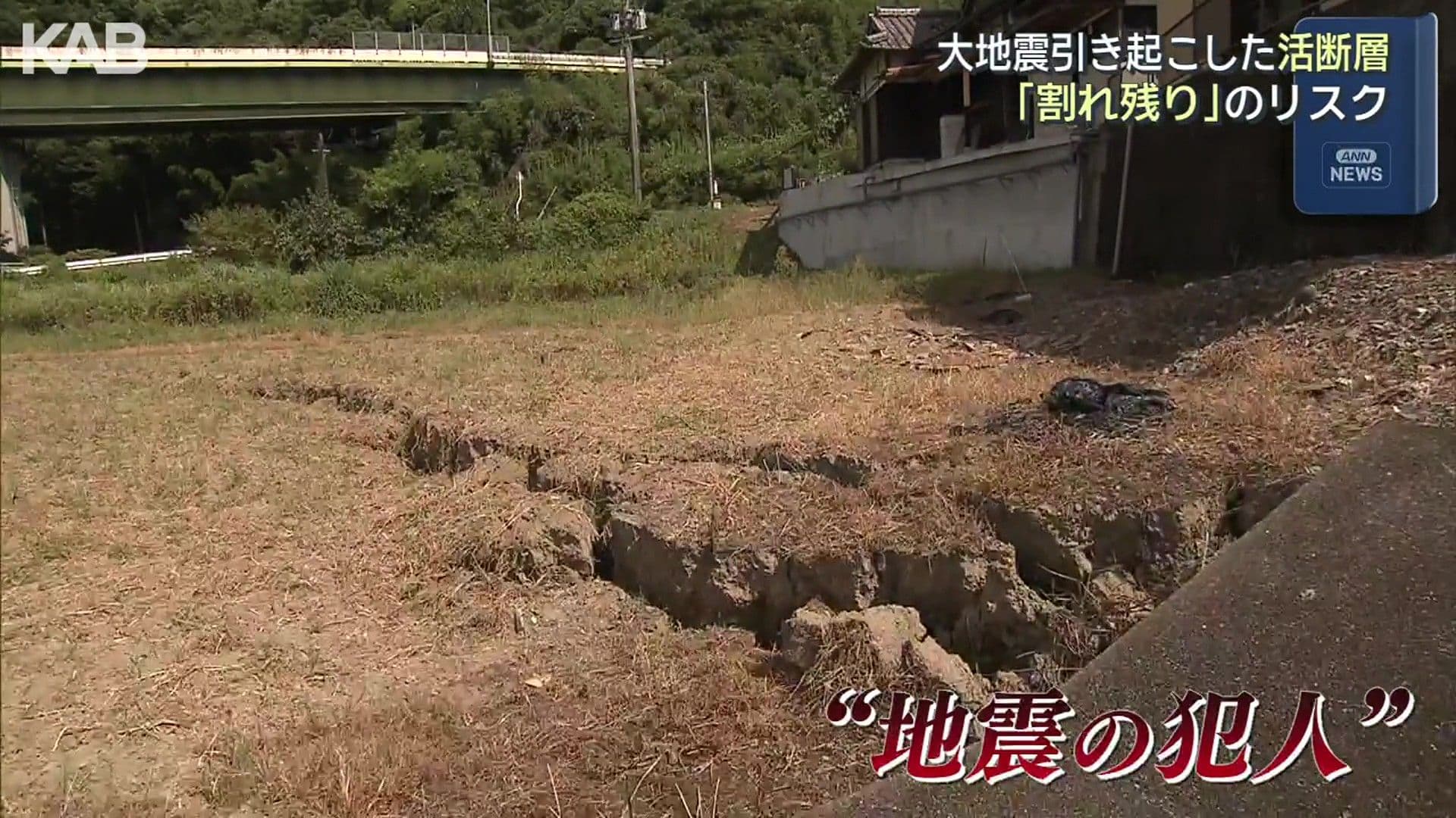 写真2