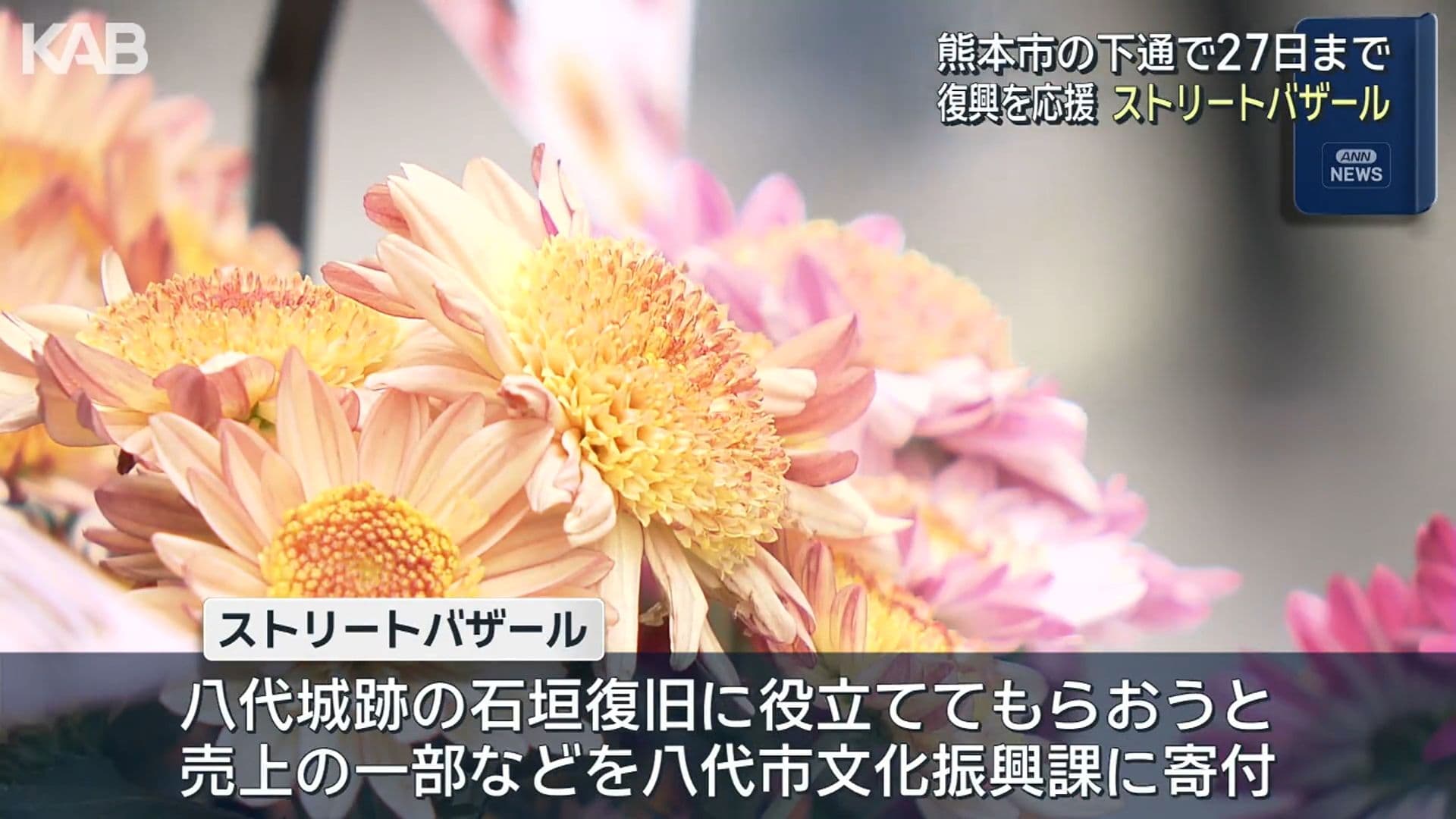 写真7