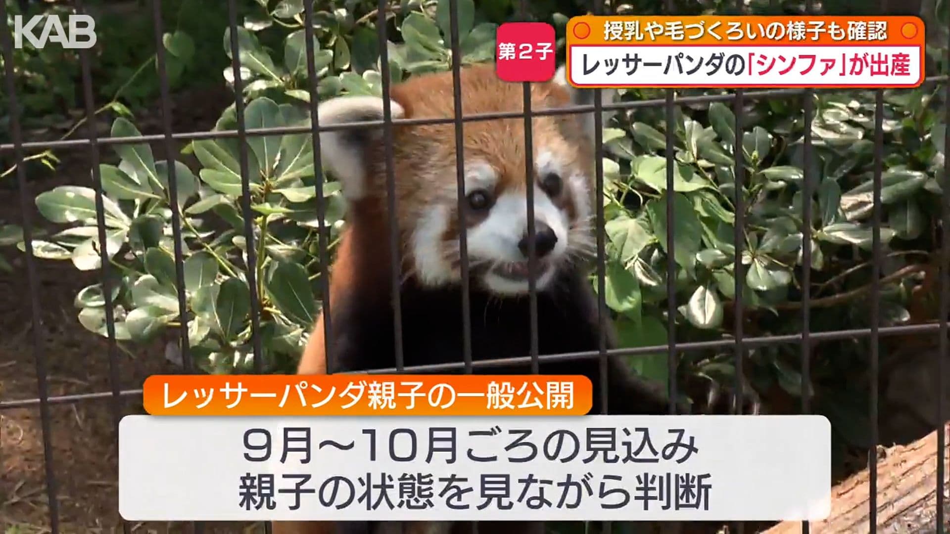 写真8