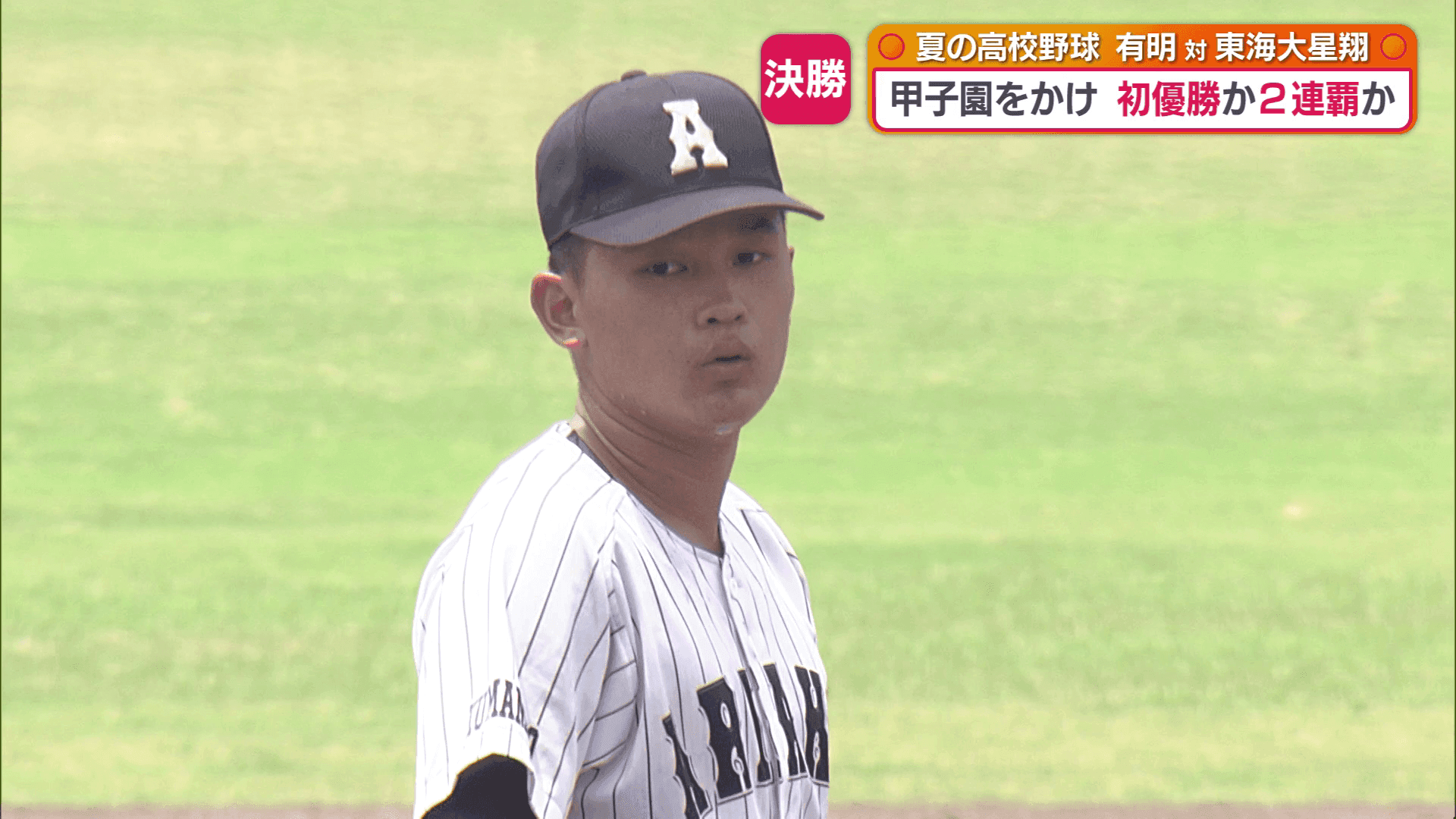 写真14