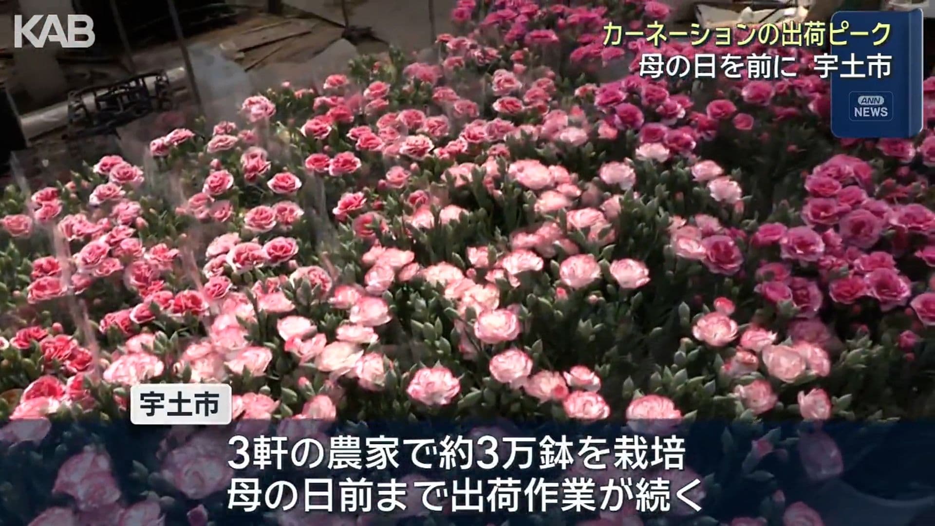 写真2