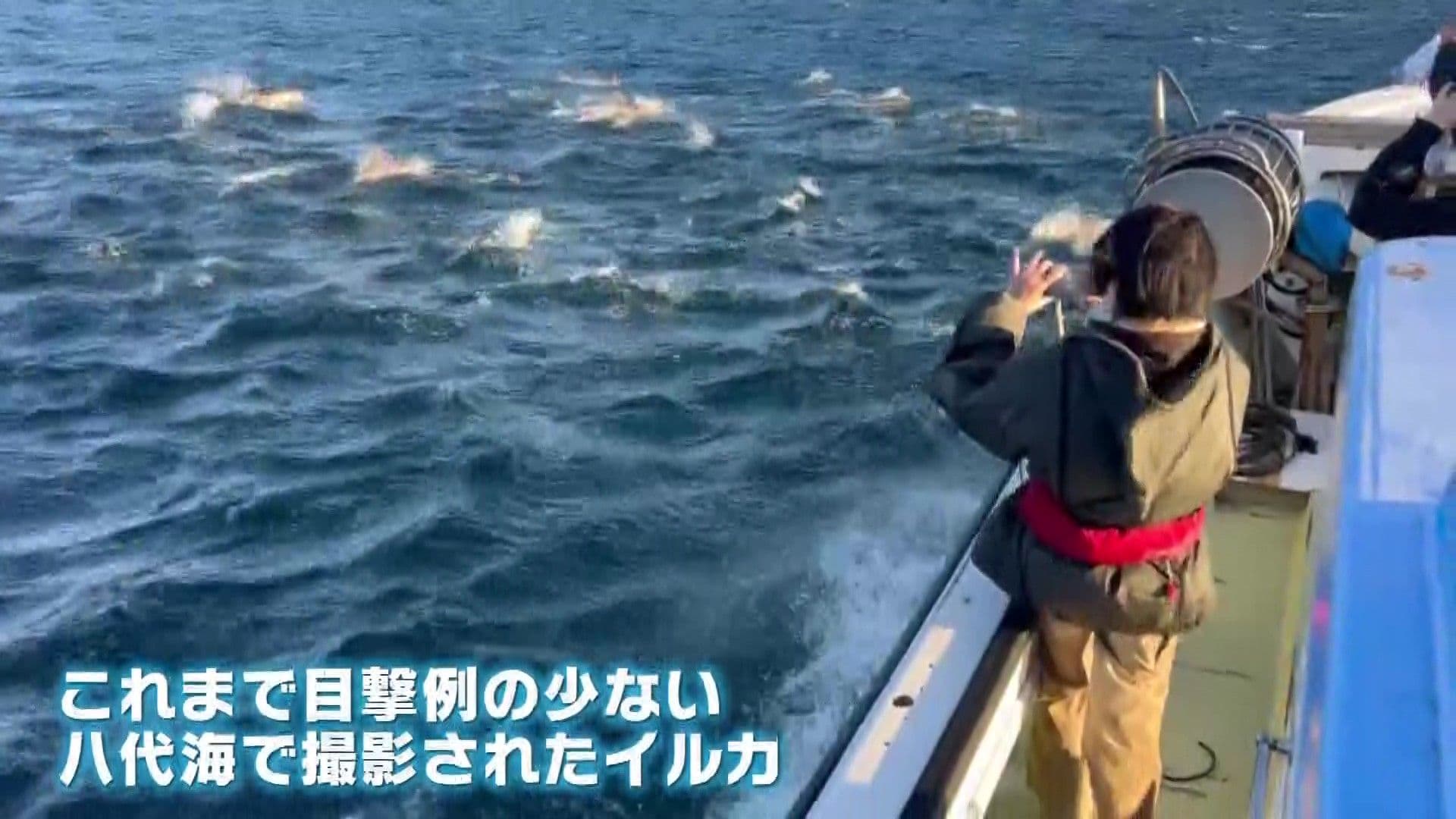 メイン記事画像