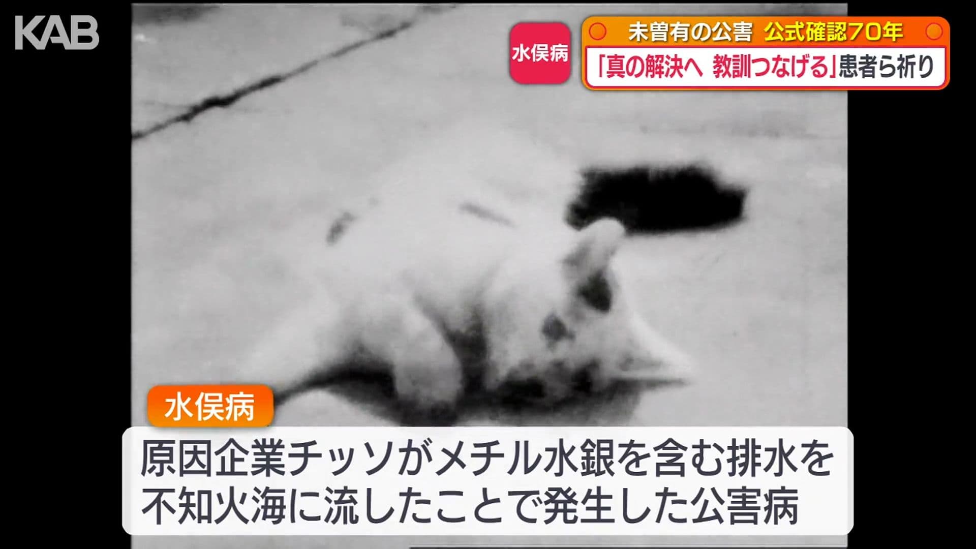 写真5