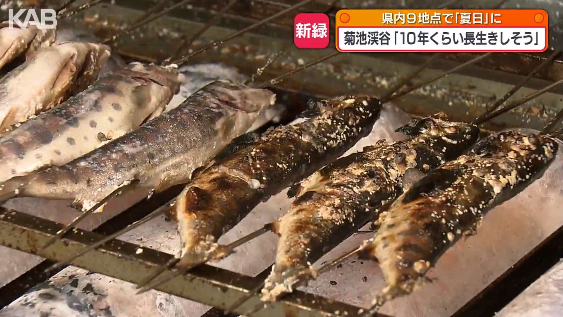 写真9